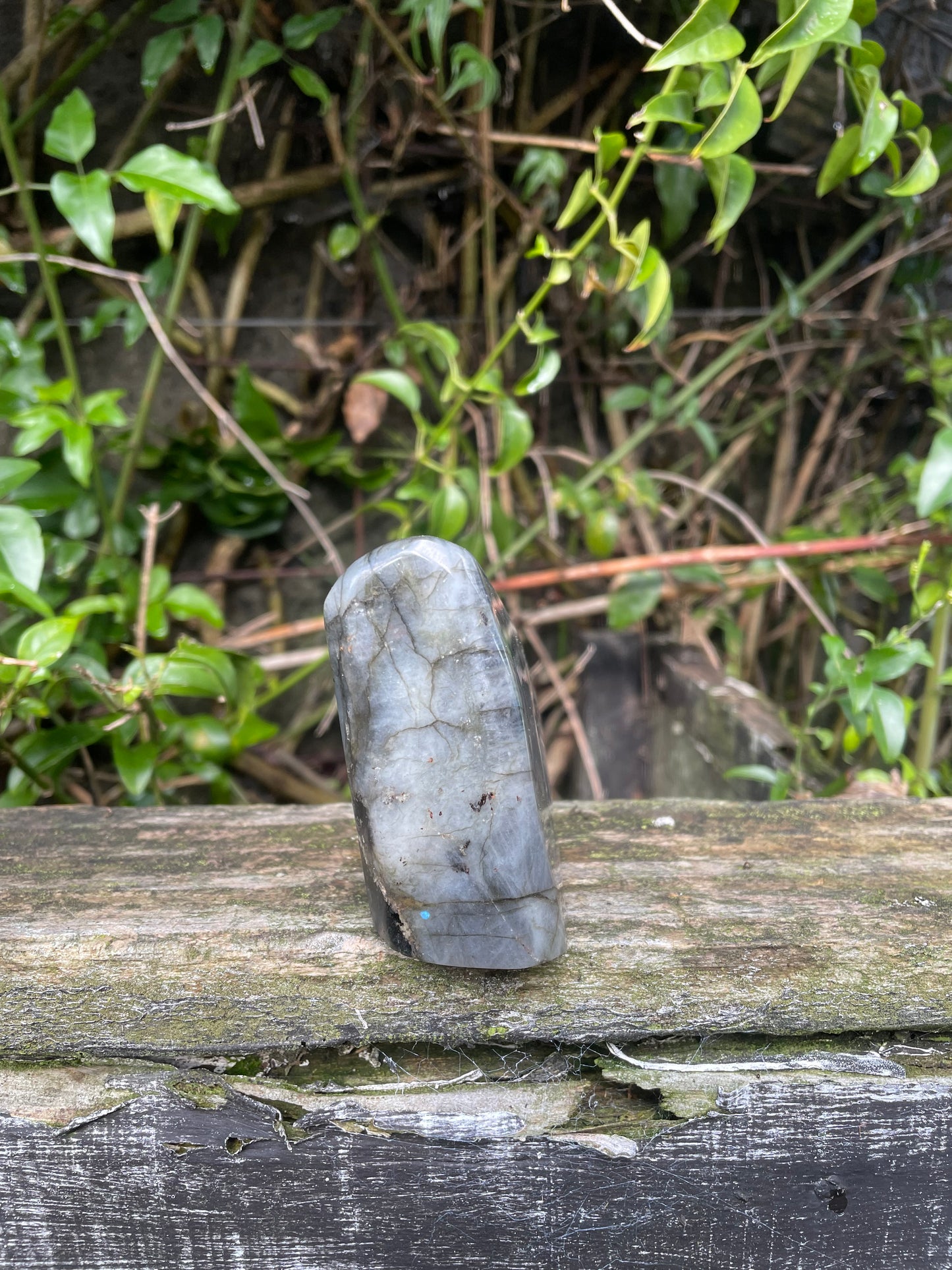 Labradorite Free Form Piece A