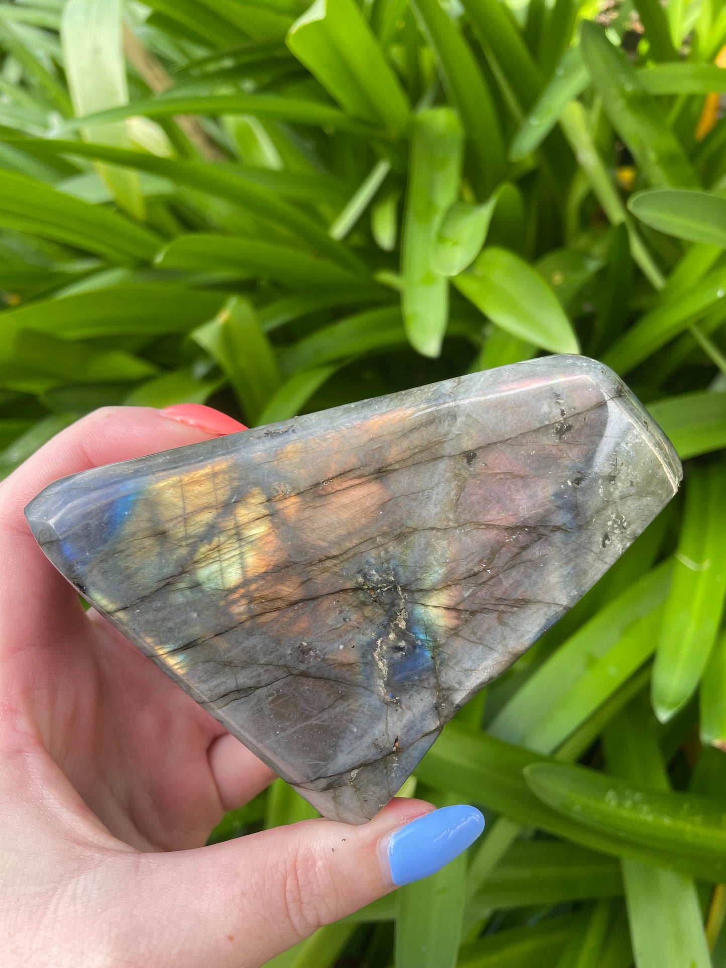 Labradorite Free Form Piece A