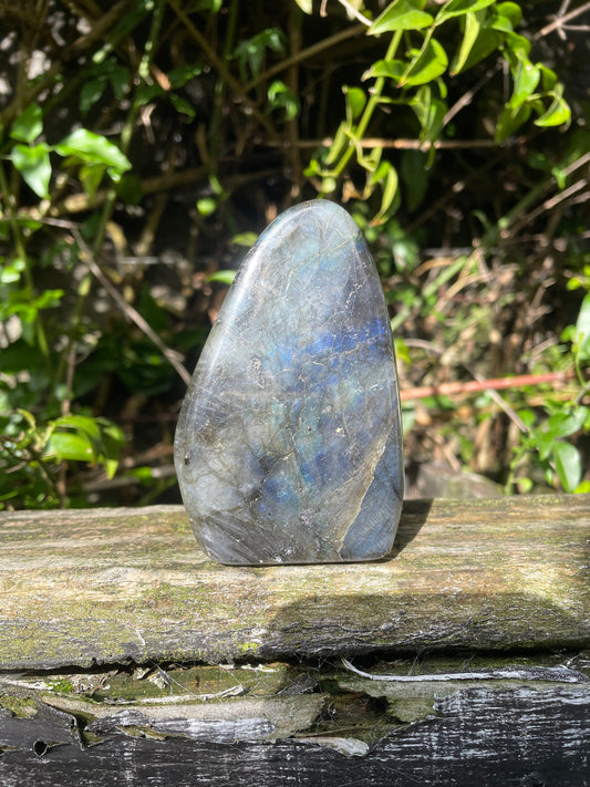 Labradorite Free Form Piece D