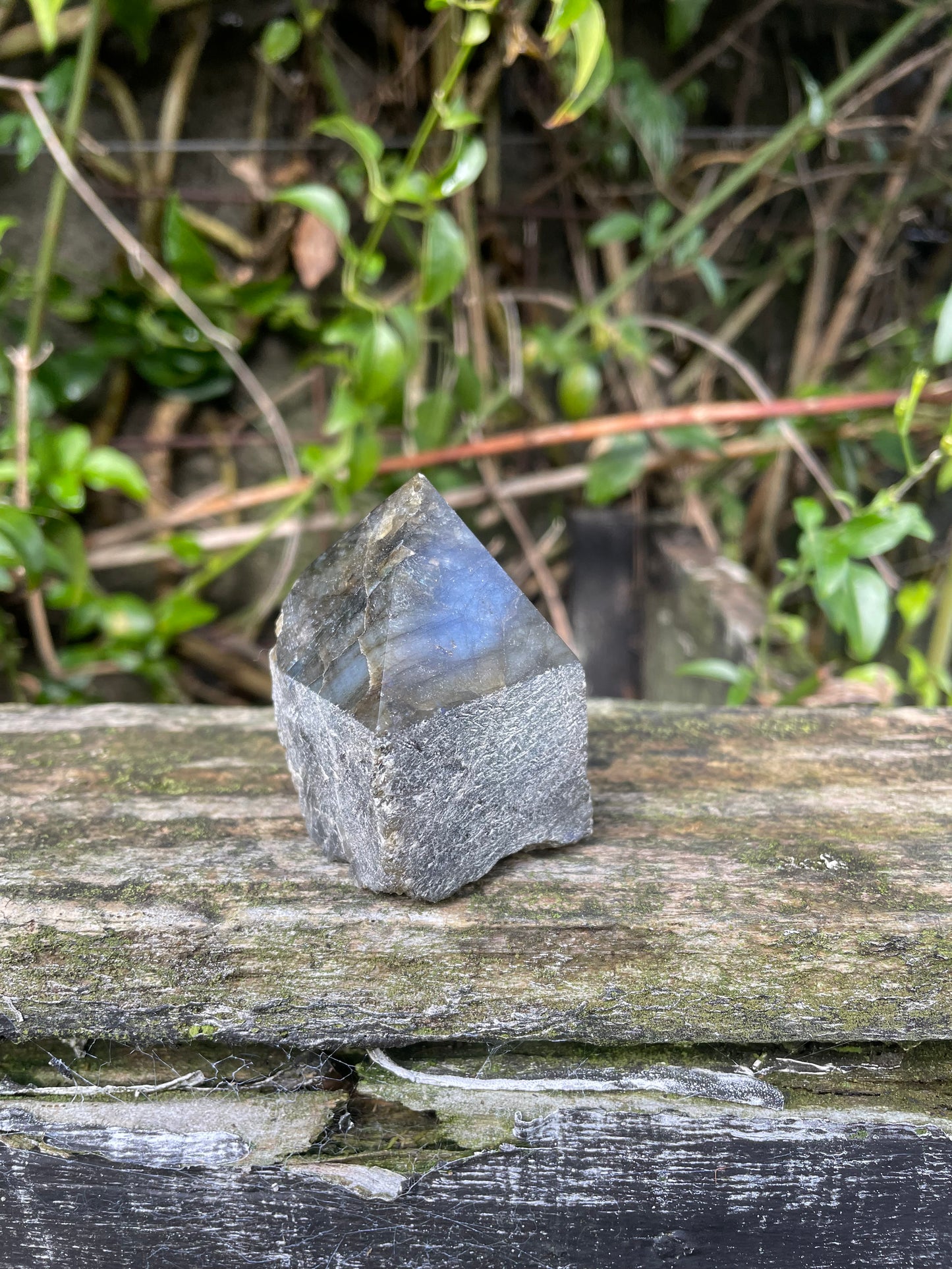 Labradorite Semi Polished Point A