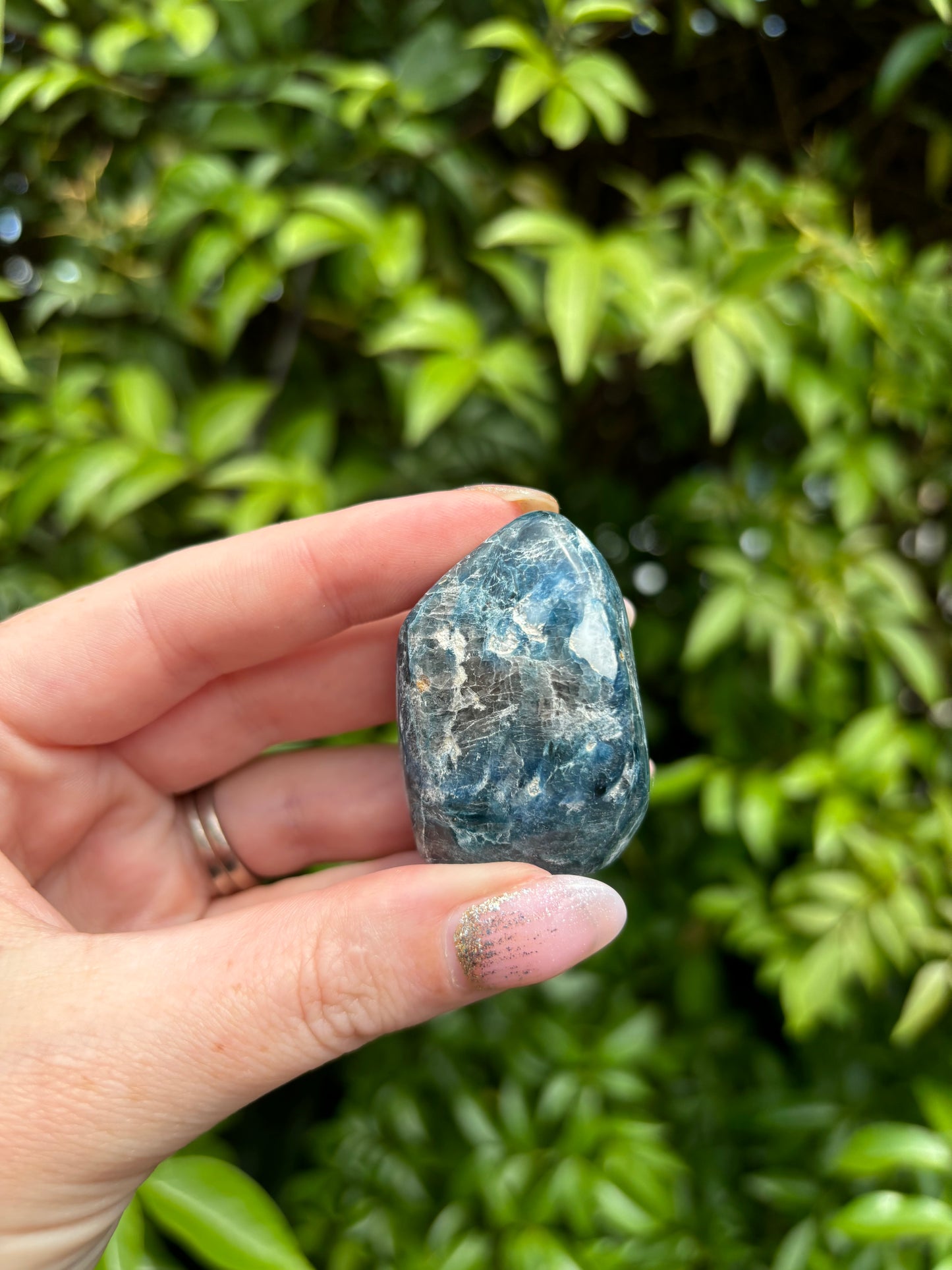 Blue Kyanite Mini Free Form D