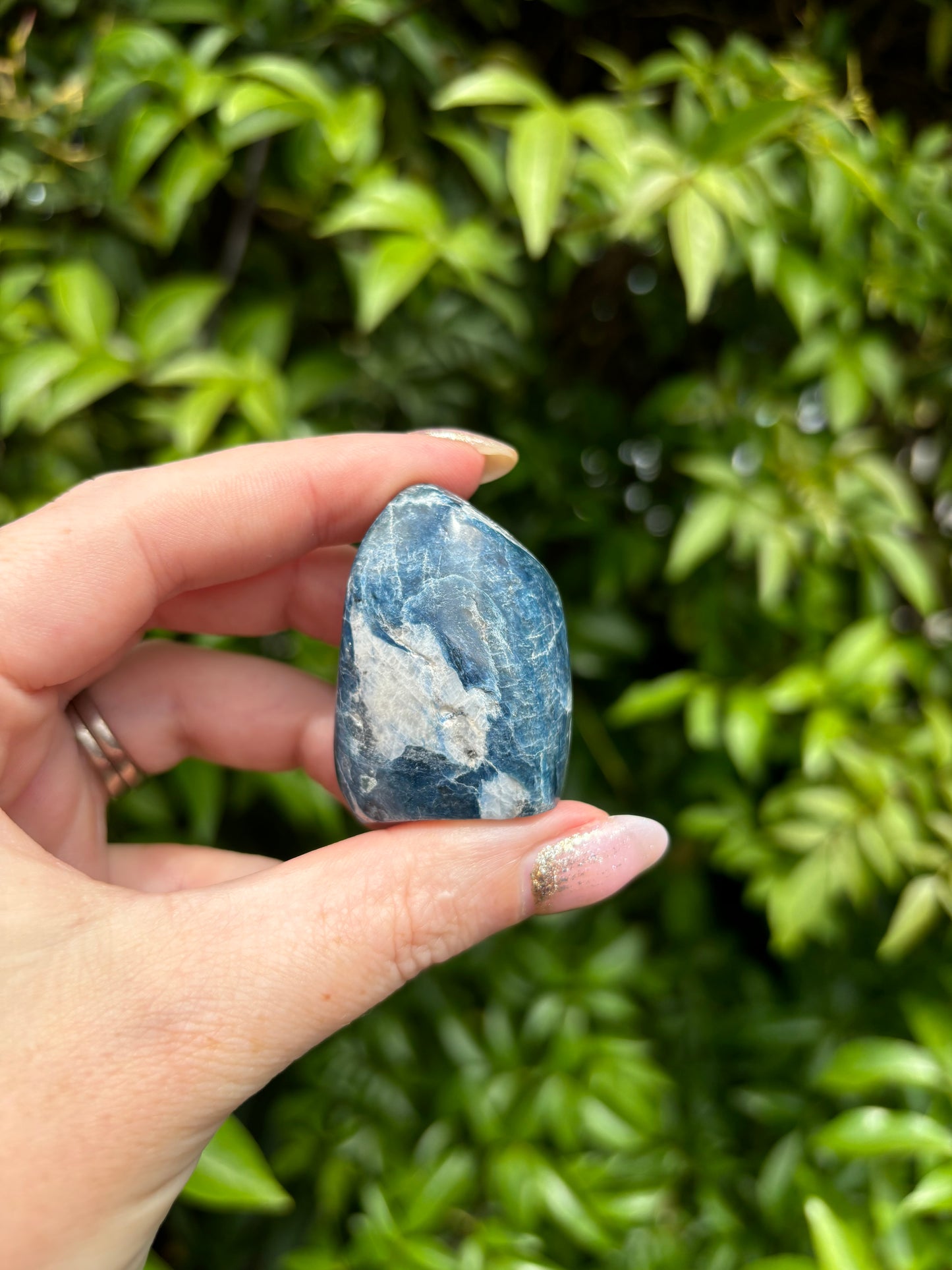 Blue Kyanite Mini Free Form D