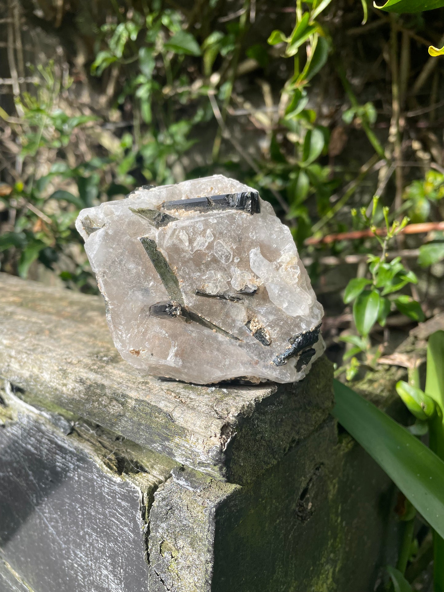 Green Tourmaline in Quartz Rough Piece B