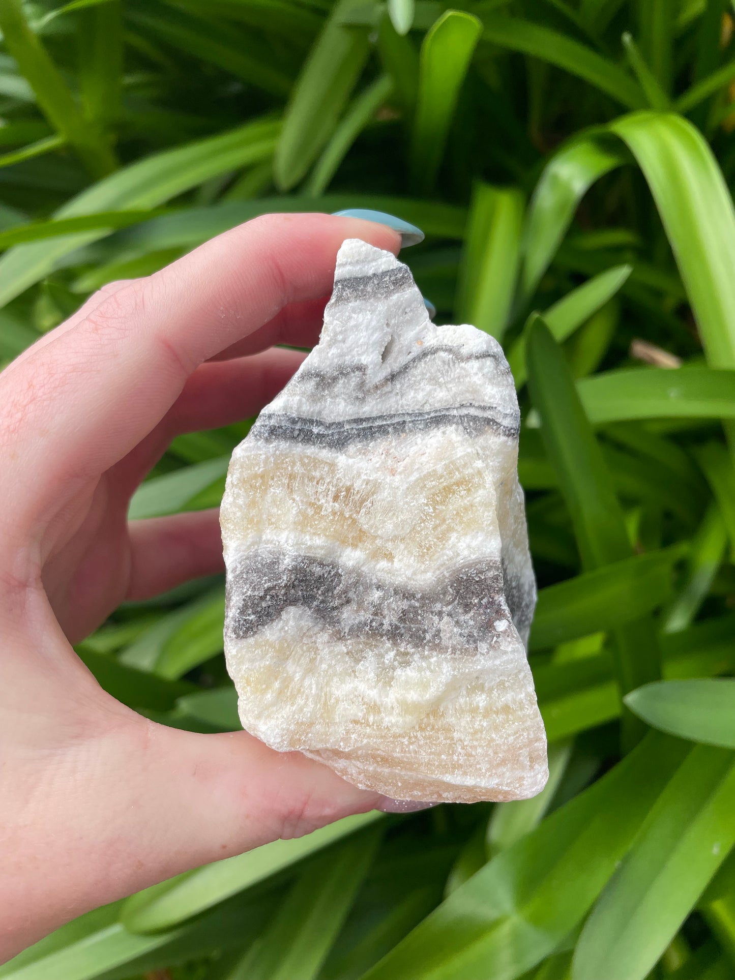 Zebra Calcite Rough Piece F