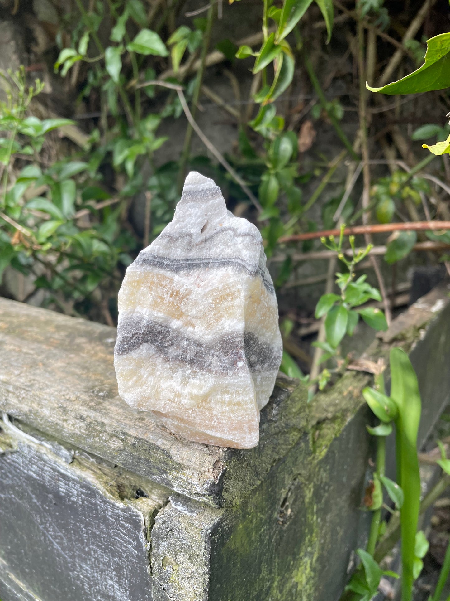 Zebra Calcite Rough Piece F