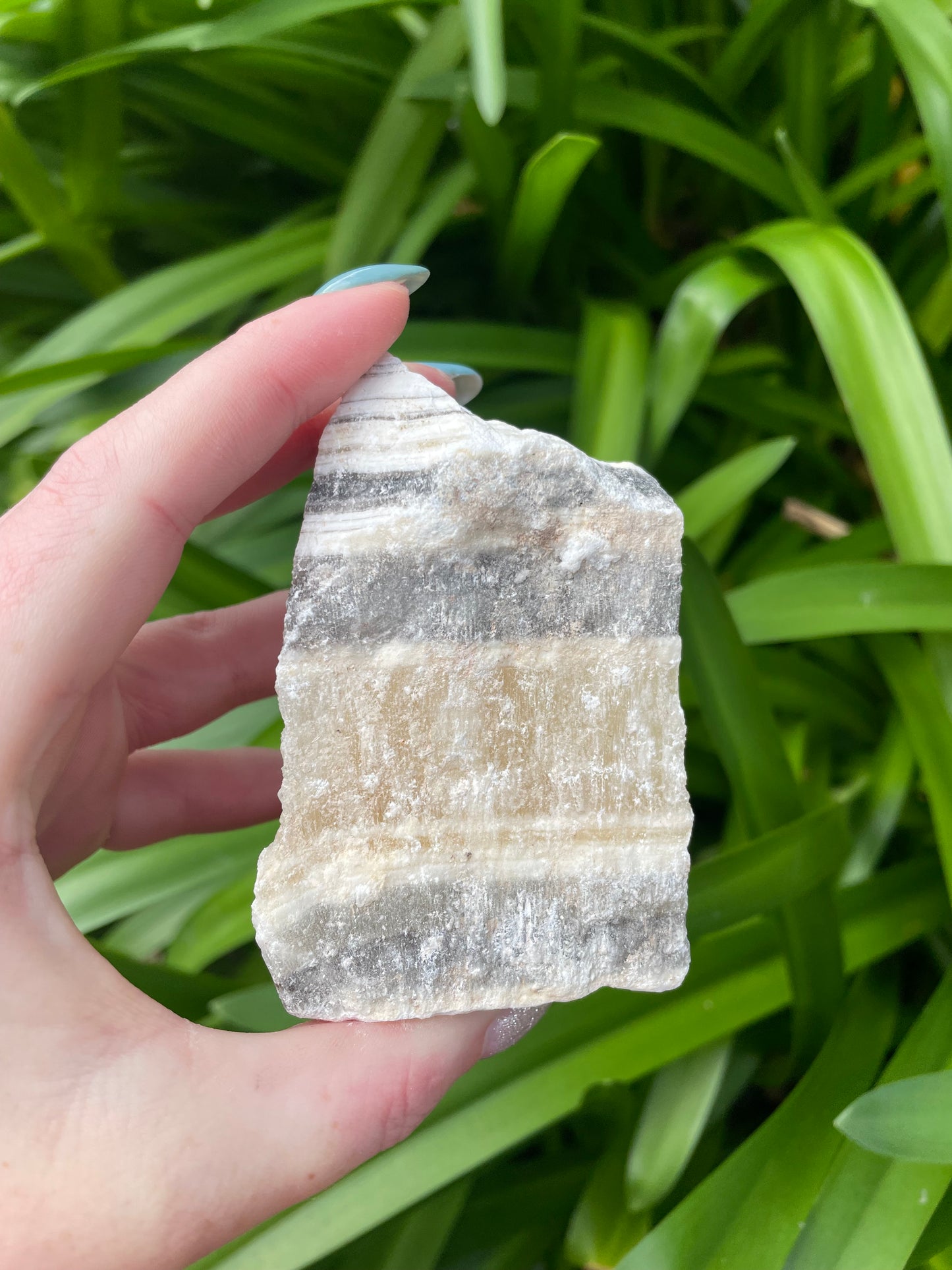 Zebra Calcite Rough Piece G