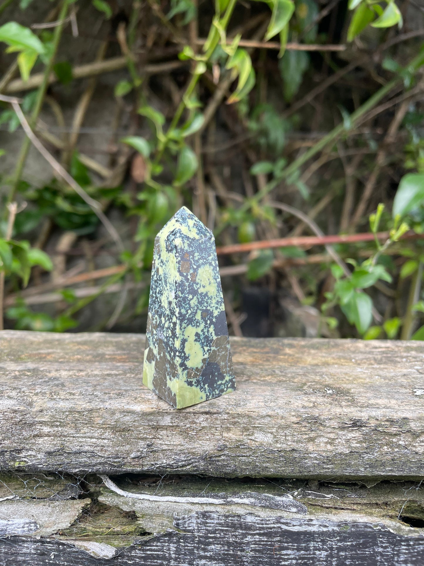 Serpentine & Pyrite Point B