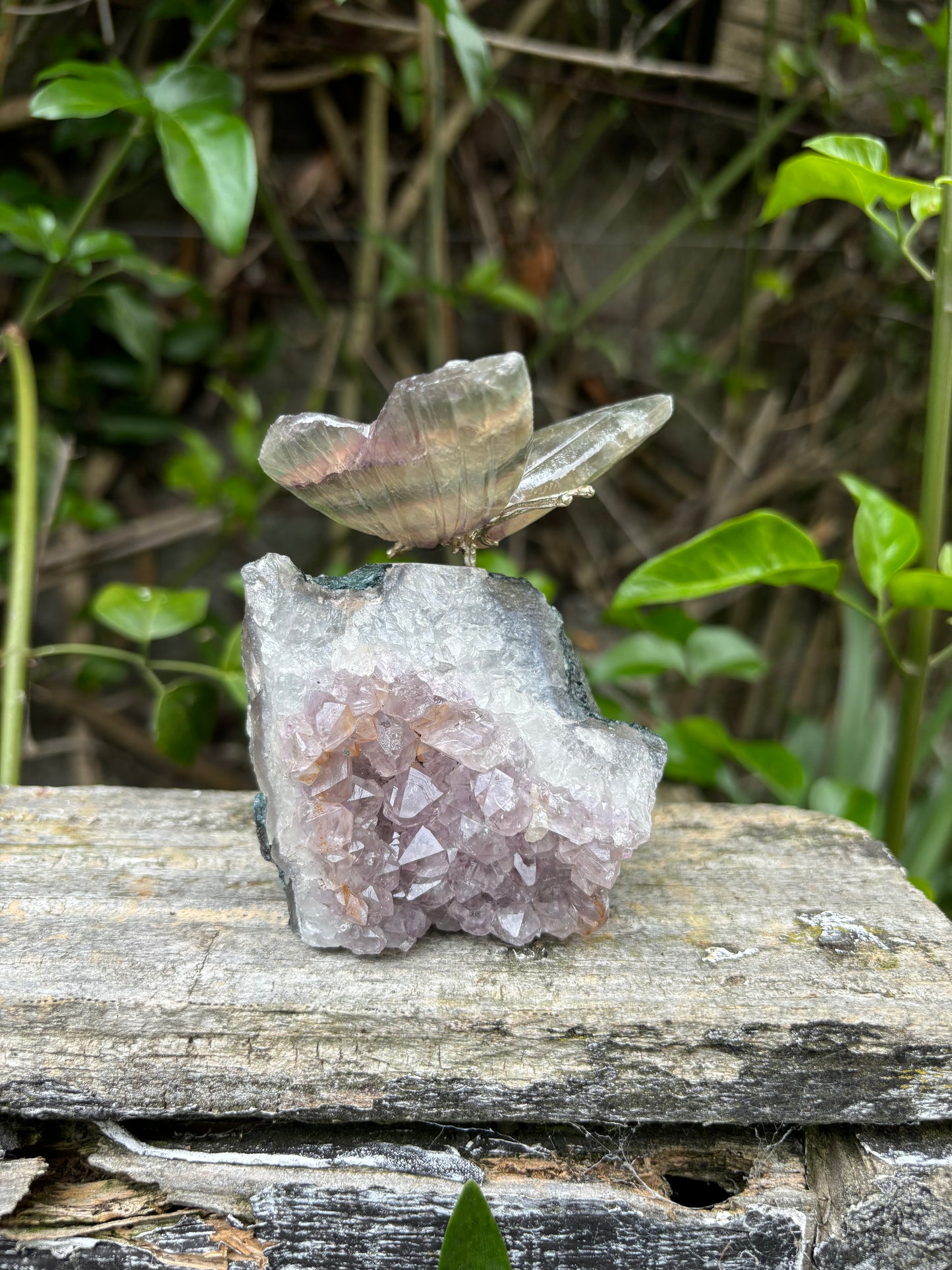 Fluorite Butterfly On Amethyst Druze Base