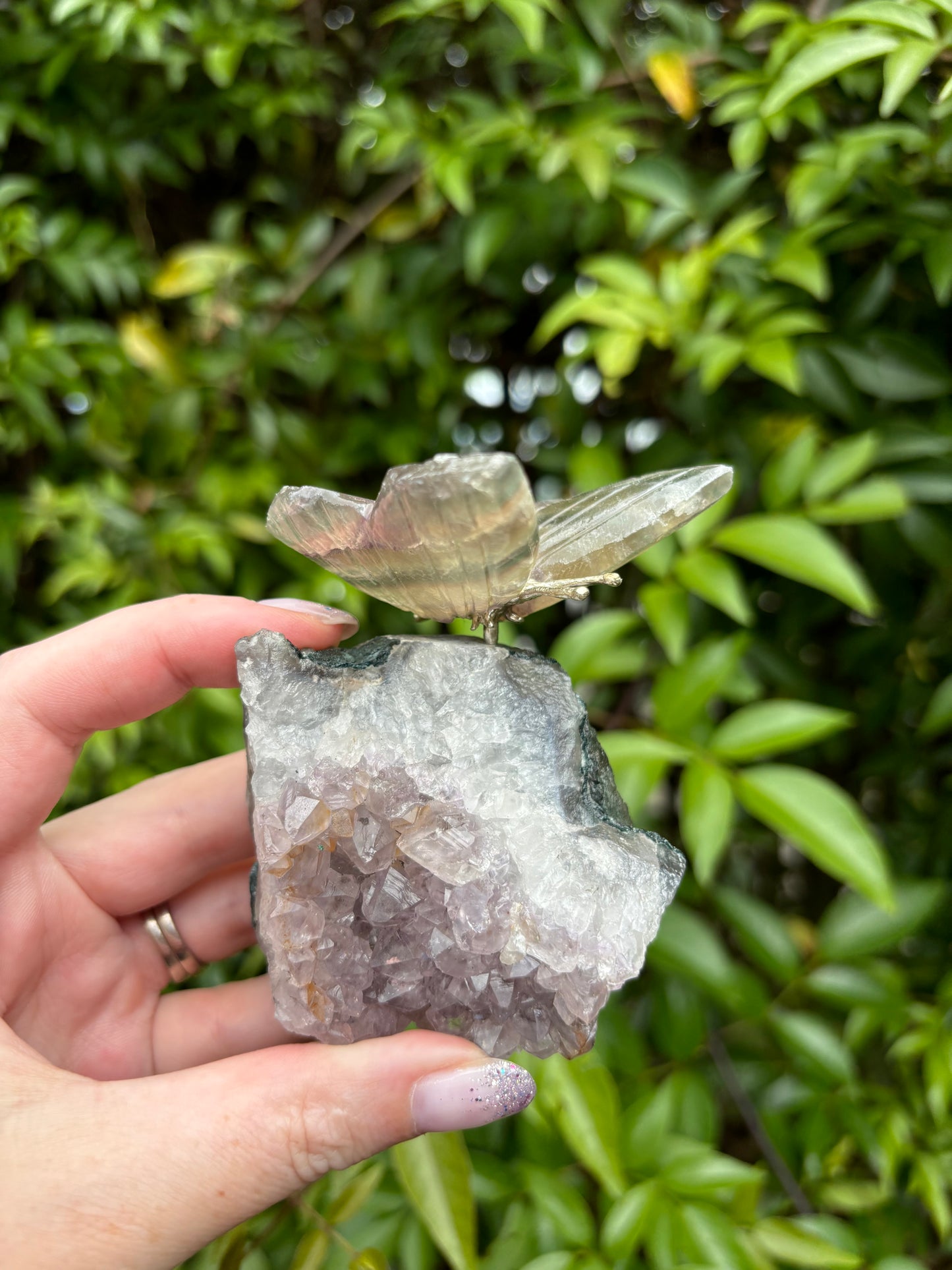 Fluorite Butterfly On Amethyst Druze Base