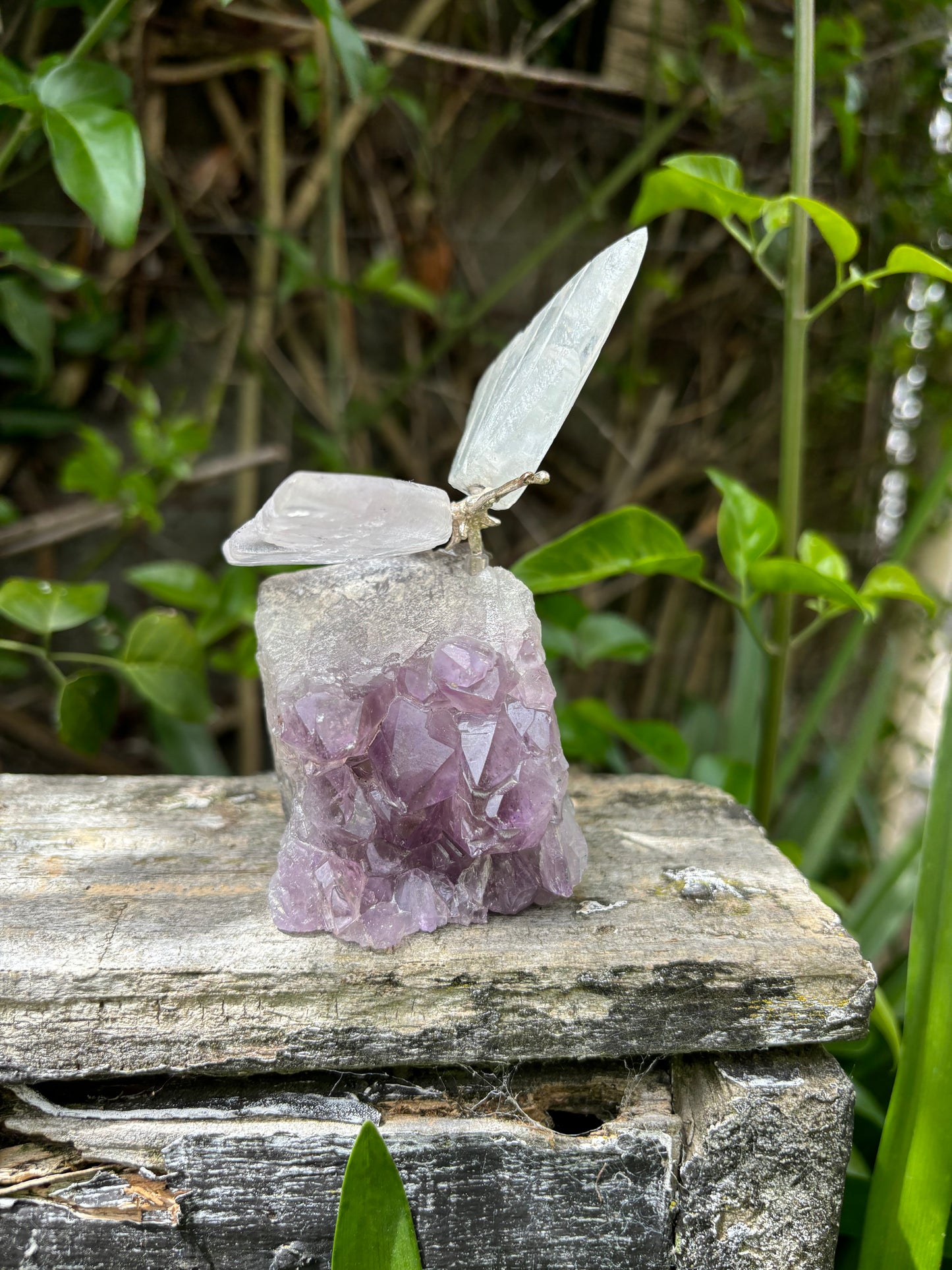 Clear Quartz Butterfly On Amethyst Druze Base