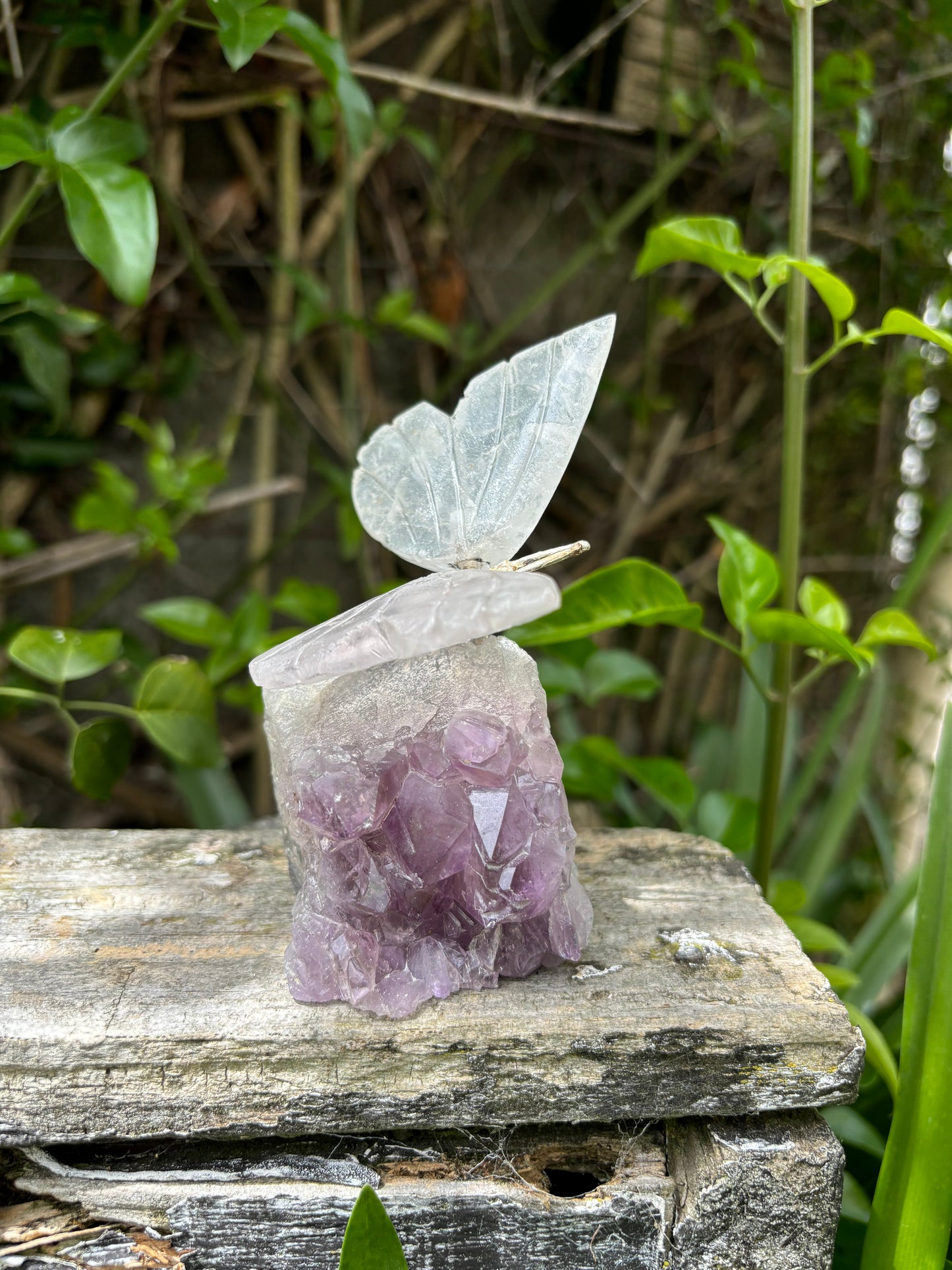 Clear Quartz Butterfly On Amethyst Druze Base