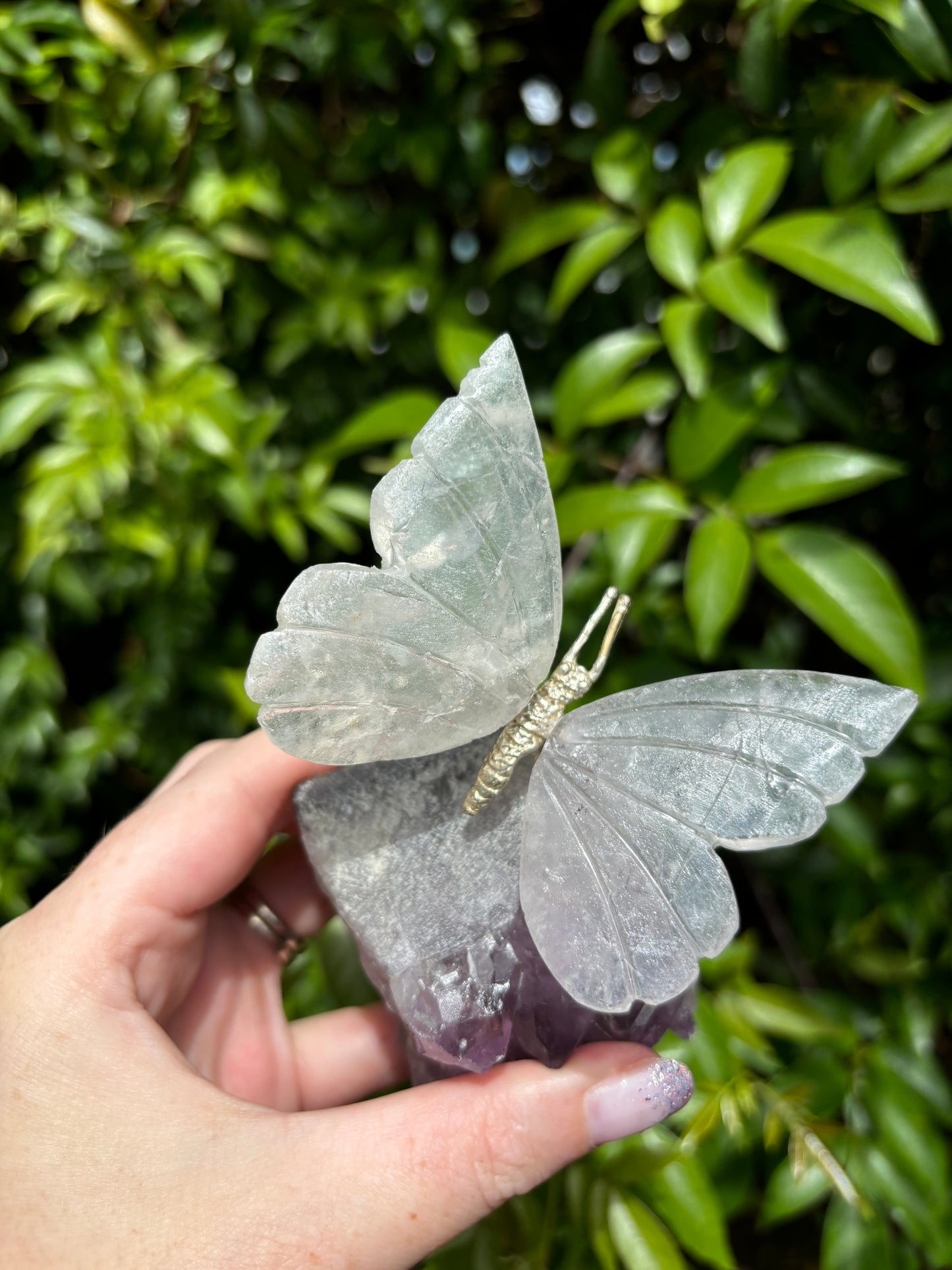 Clear Quartz Butterfly On Amethyst Druze Base