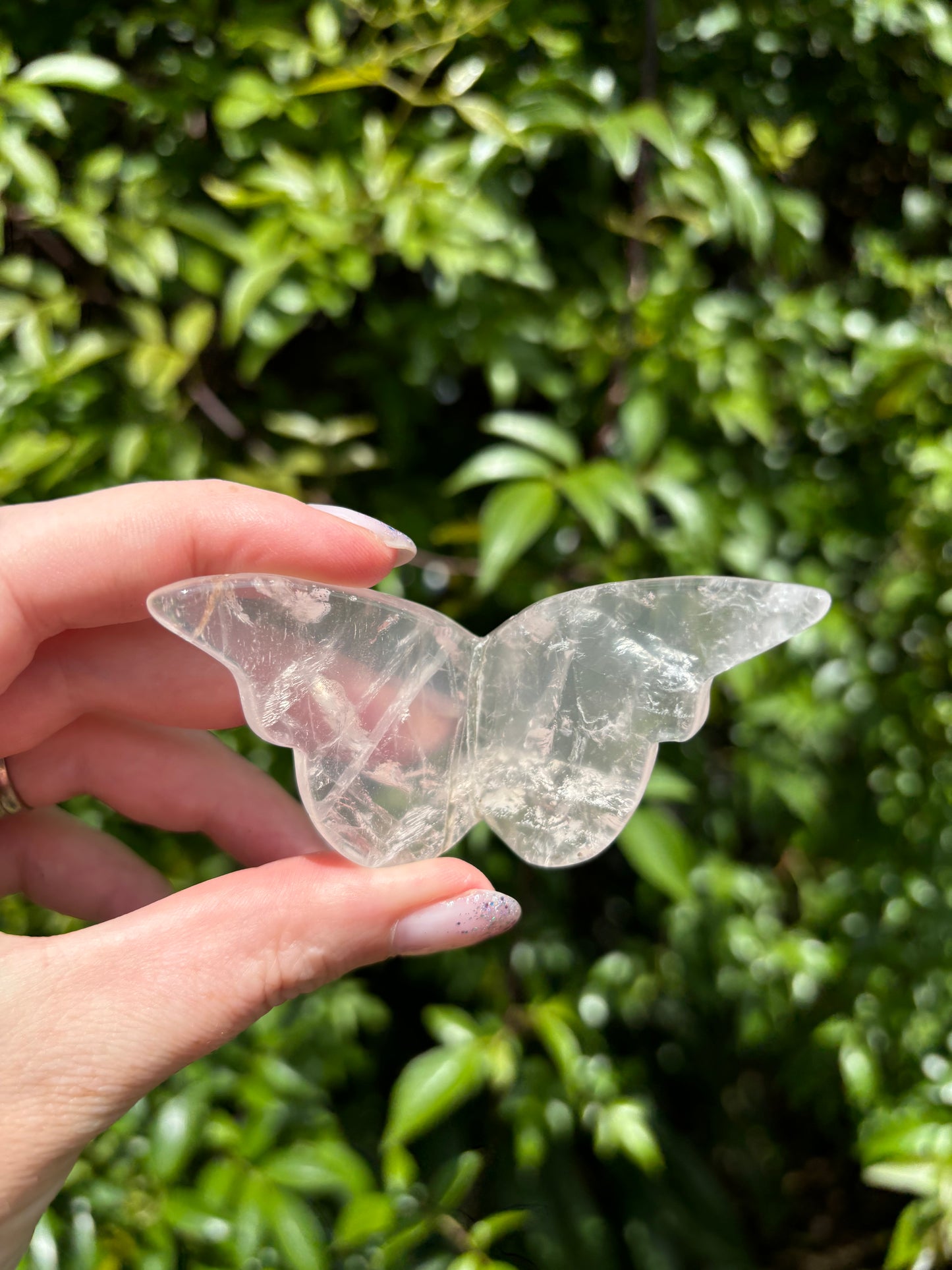 Rose Quartz Butterfly A