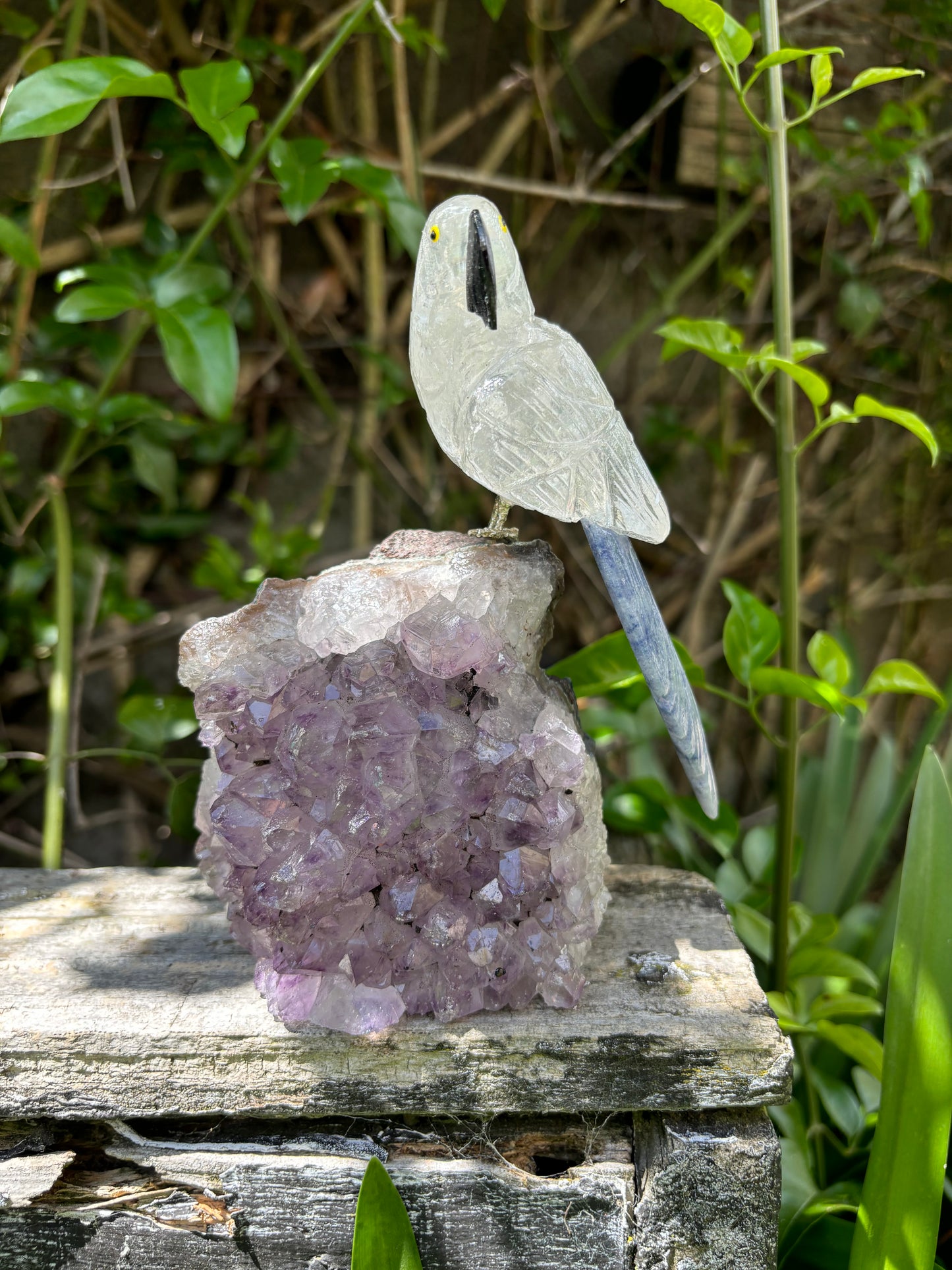 Clear Quartz & Blue Quartz Parrot