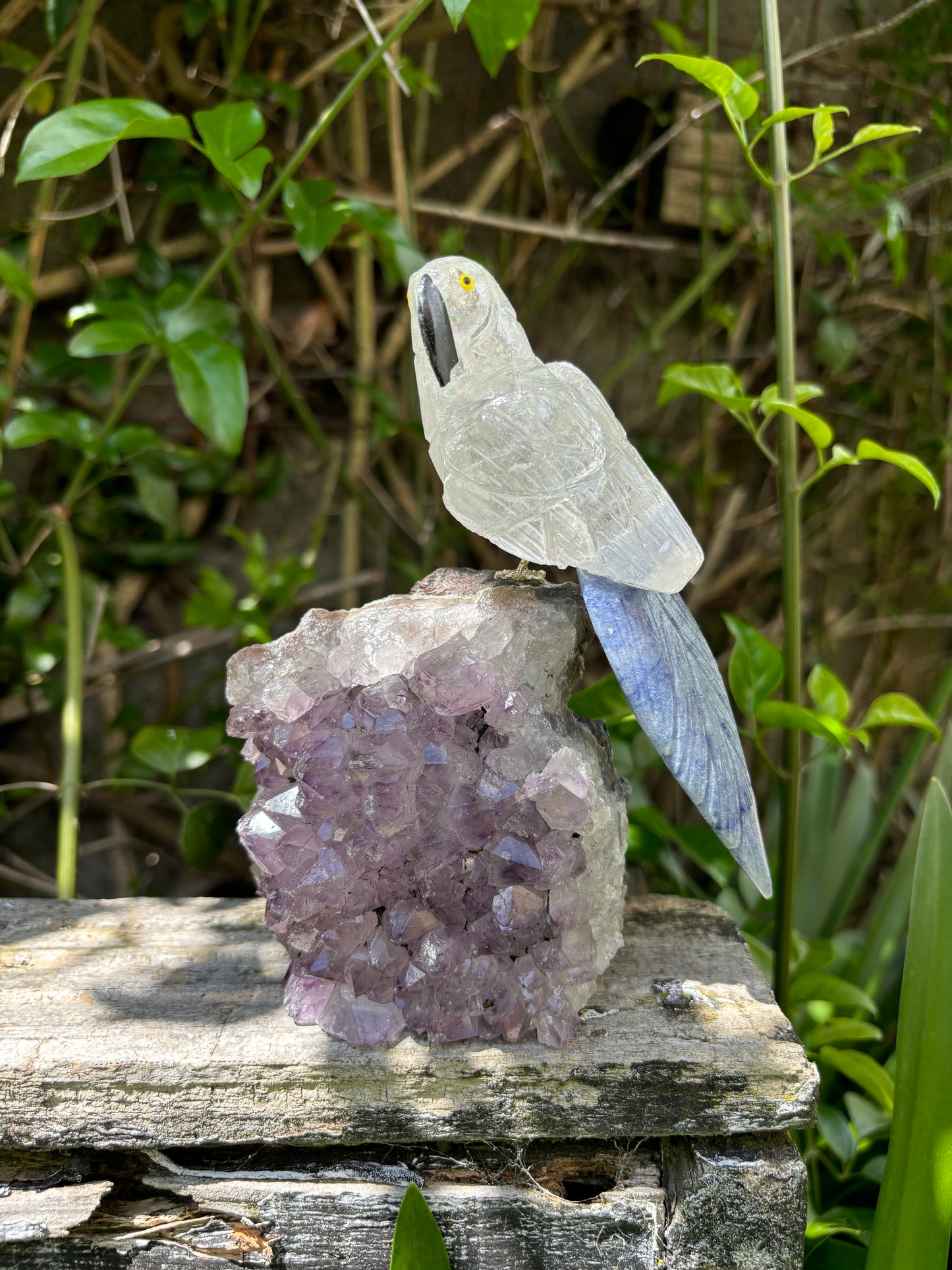 Clear Quartz & Blue Quartz Parrot