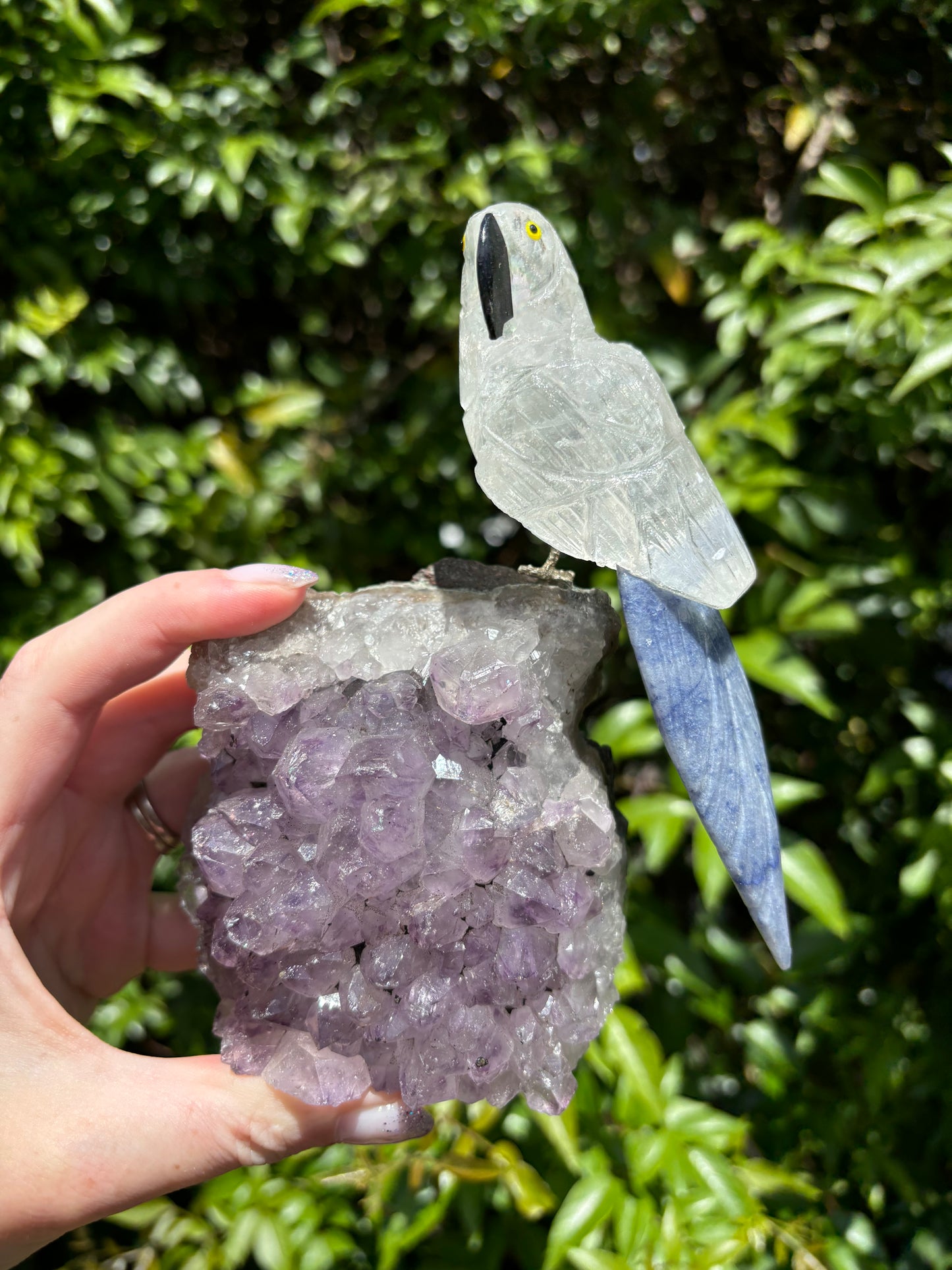 Clear Quartz & Blue Quartz Parrot