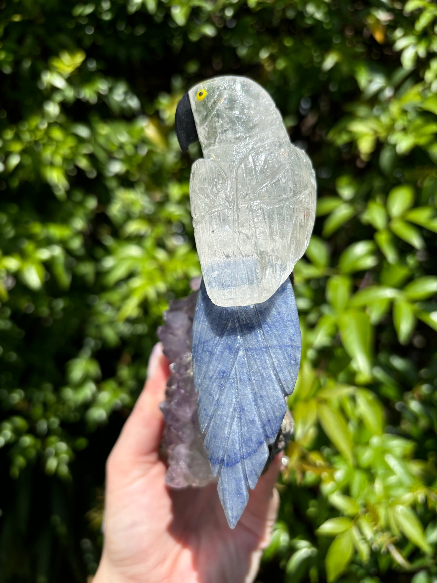 Clear Quartz & Blue Quartz Parrot