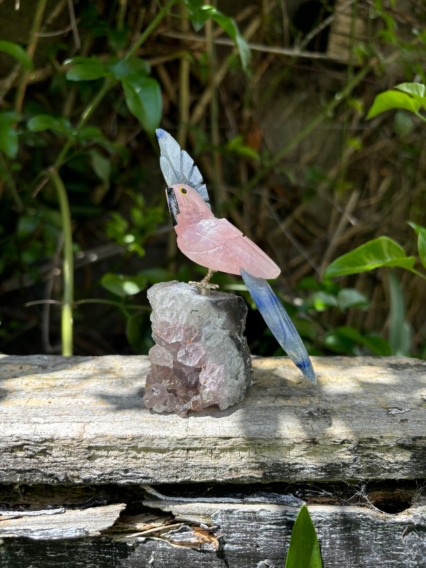 Rose Quartz & Blue Quartz Parrot