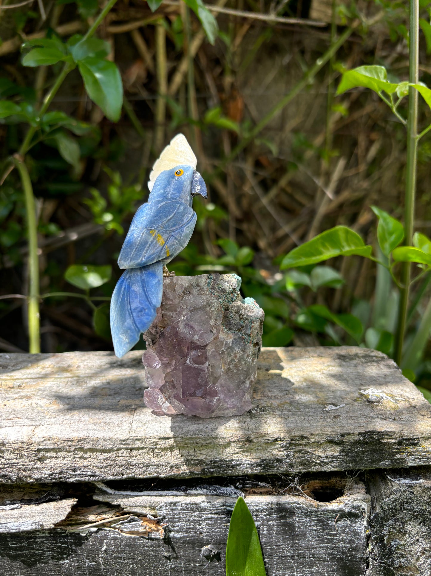 Blue Quartz & Aventurine Parrot