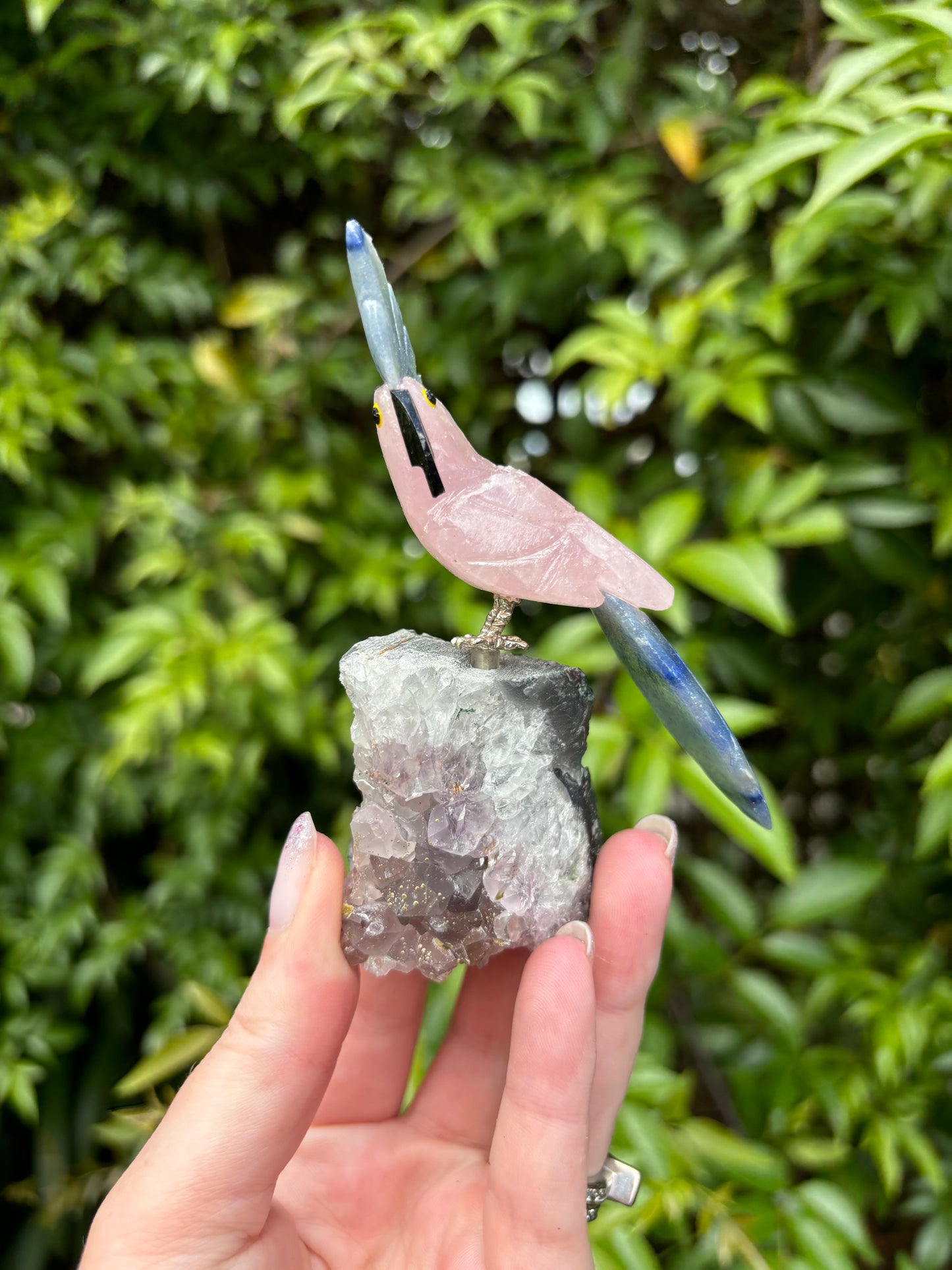 Rose Quartz & Blue Quartz Parrot