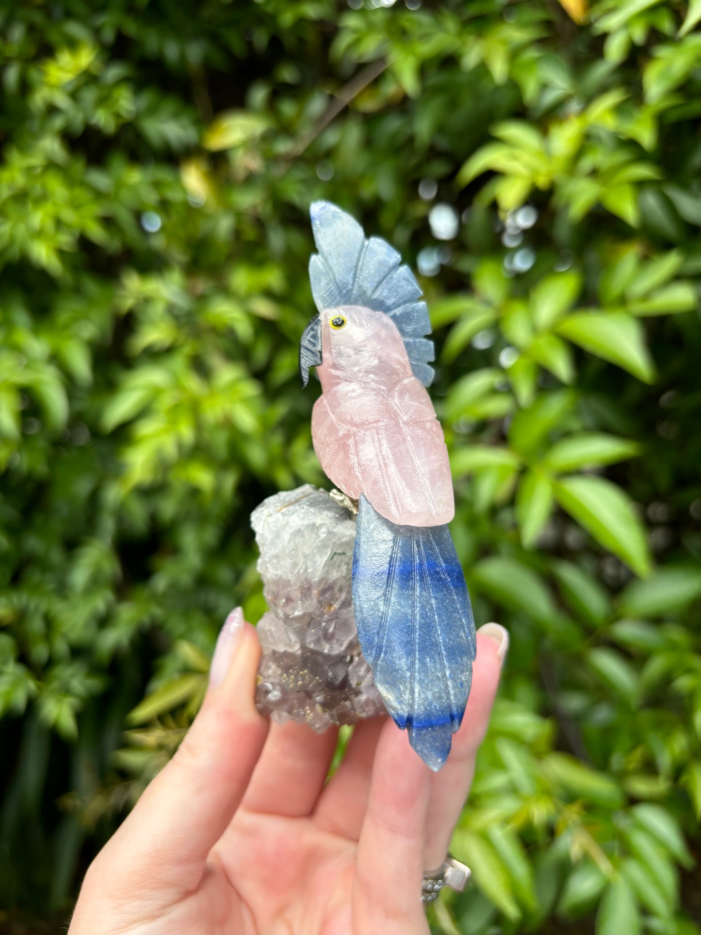 Rose Quartz & Blue Quartz Parrot