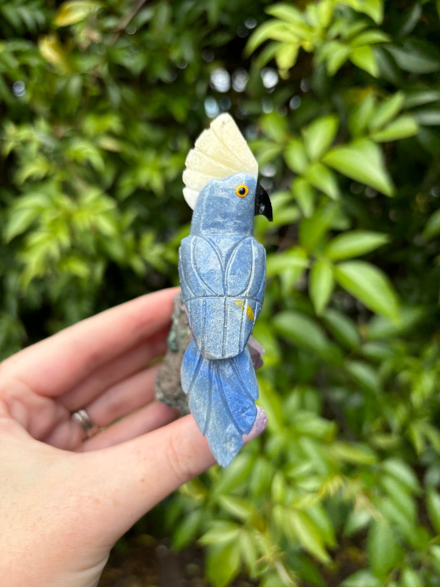 Blue Quartz & Aventurine Parrot