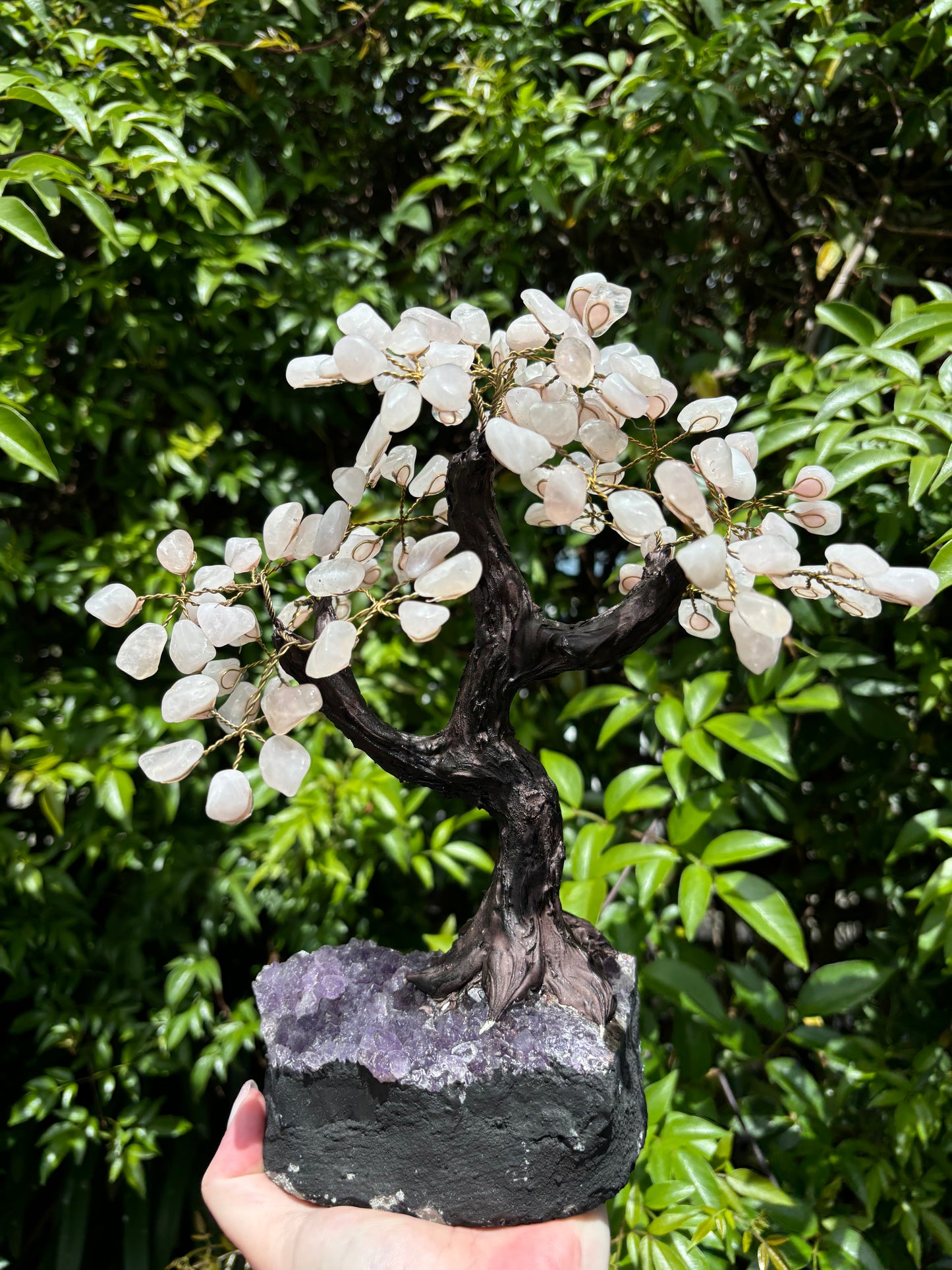 Rose Quartz With Amethyst Druze Base TREE Xlarge