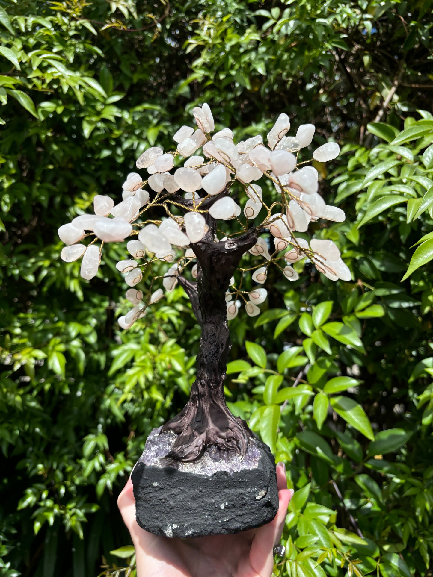 Rose Quartz With Amethyst Druze Base TREE Xlarge