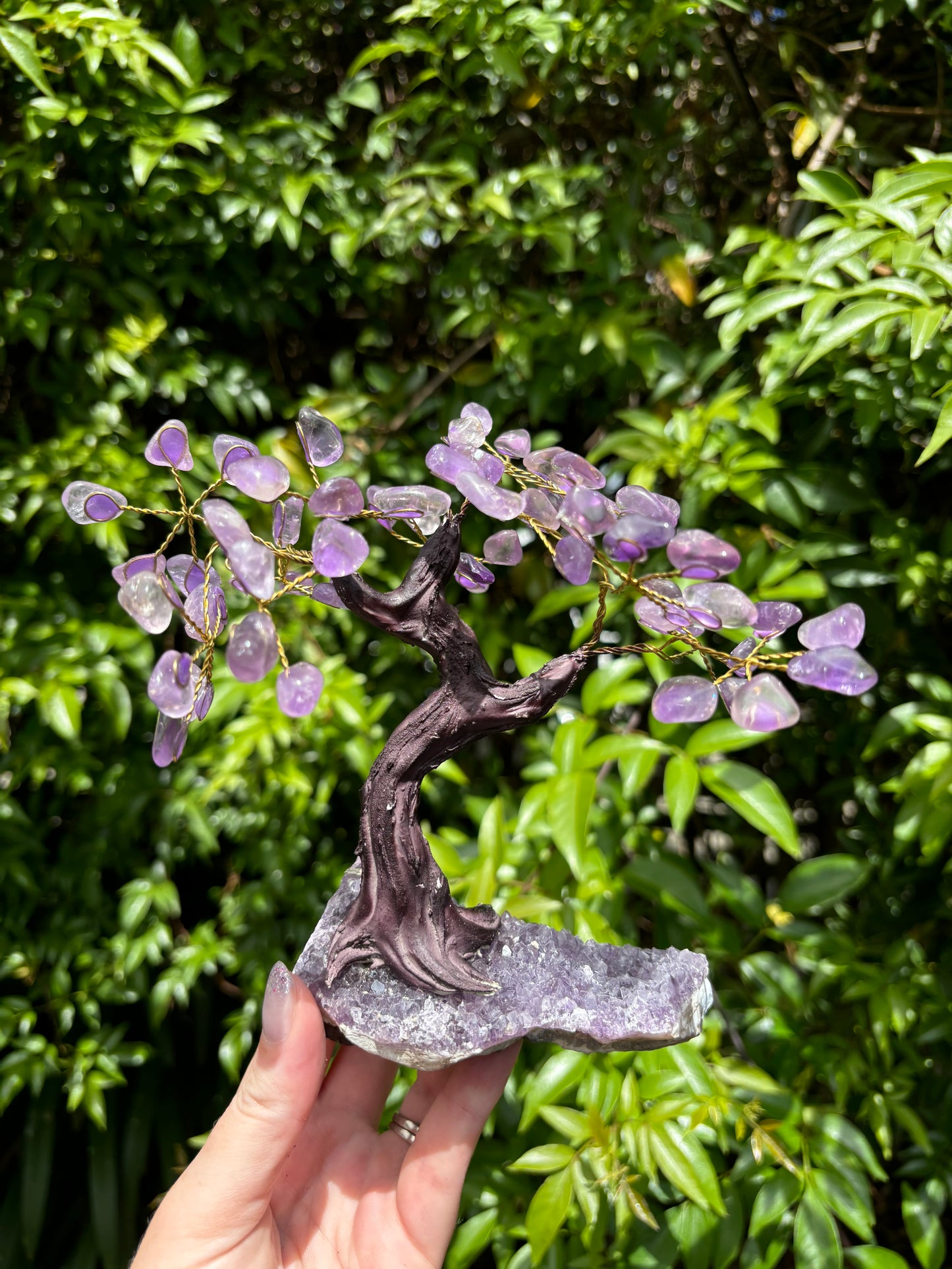 Amethyst With Amethyst Druze Base TREE