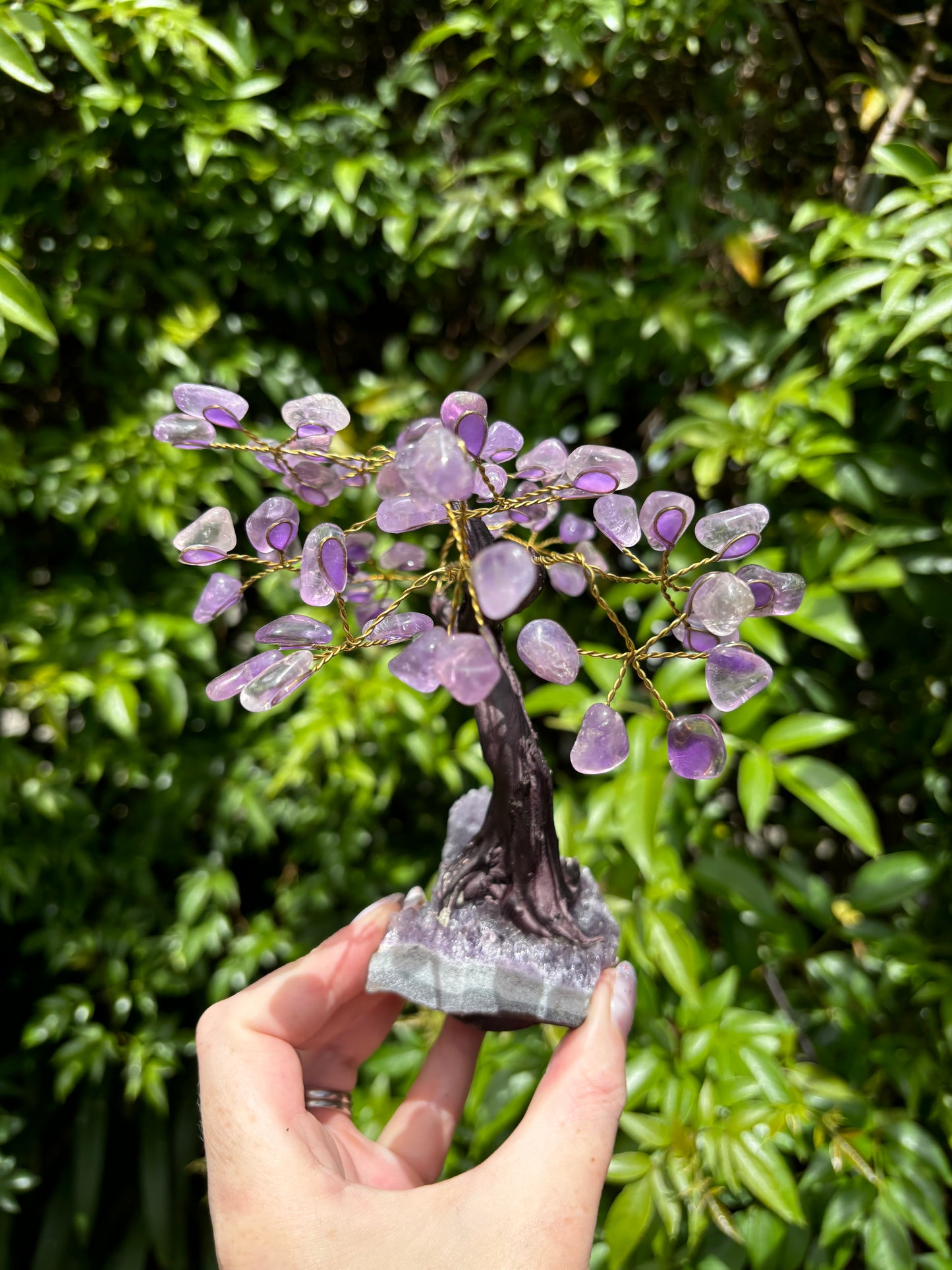 Amethyst With Amethyst Druze Base TREE