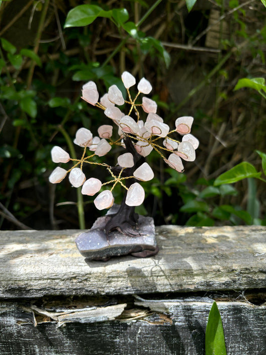 Rose Quartz With Amethyst Druze Base TREE C