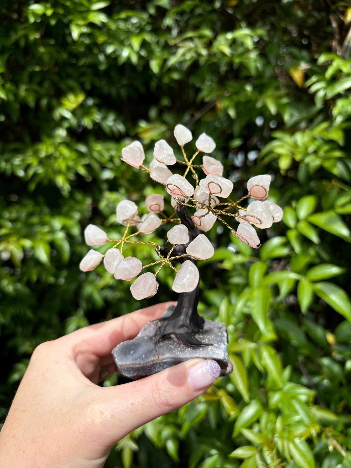 Rose Quartz With Amethyst Druze Base TREE C