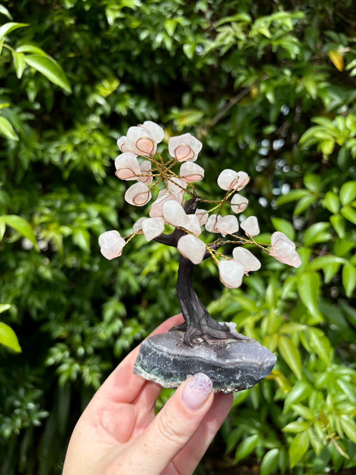 Rose Quartz With Amethyst Druze Base TREE C