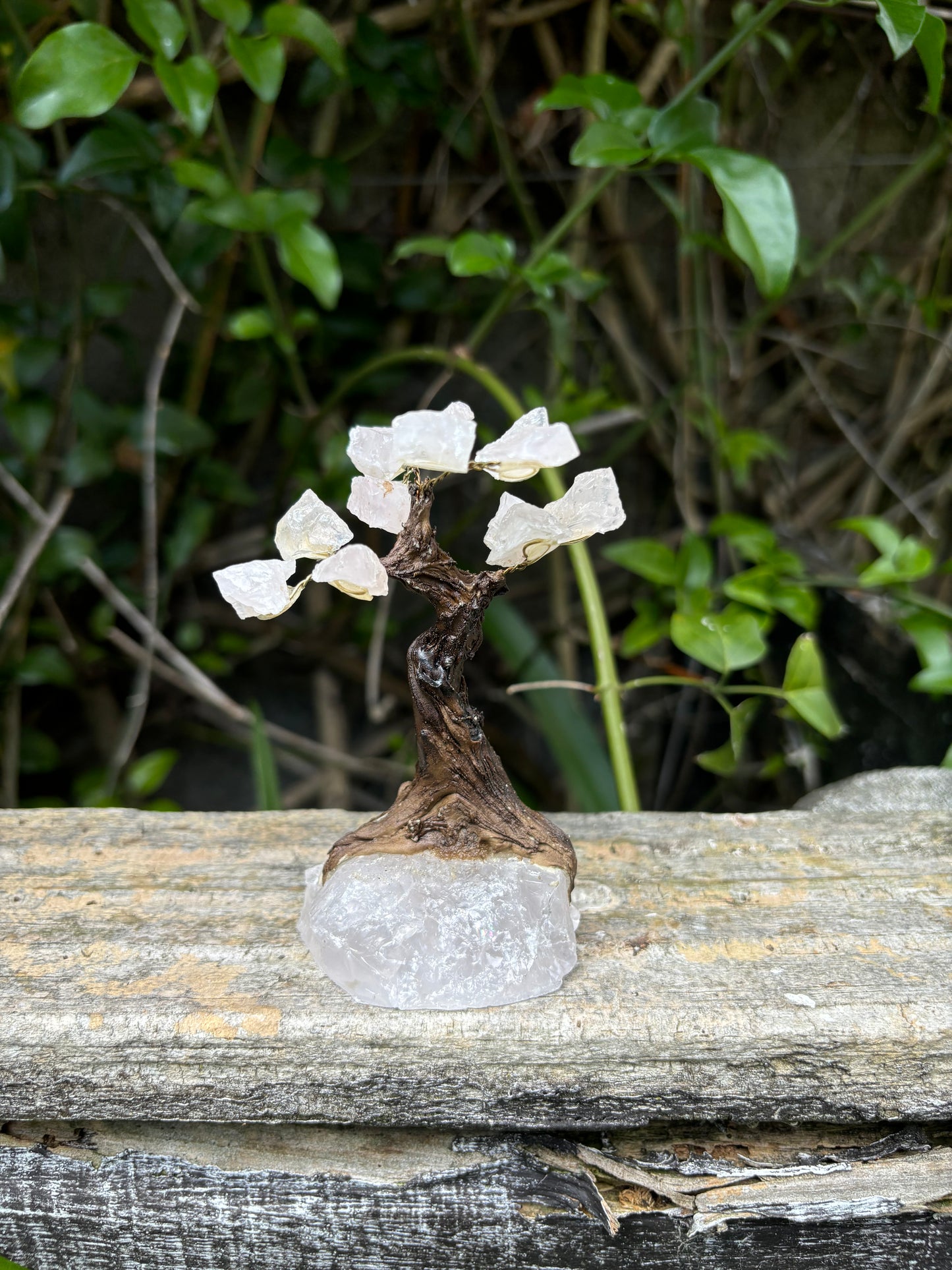 Rose Quartz With Rough Rose Quartz Base TREE