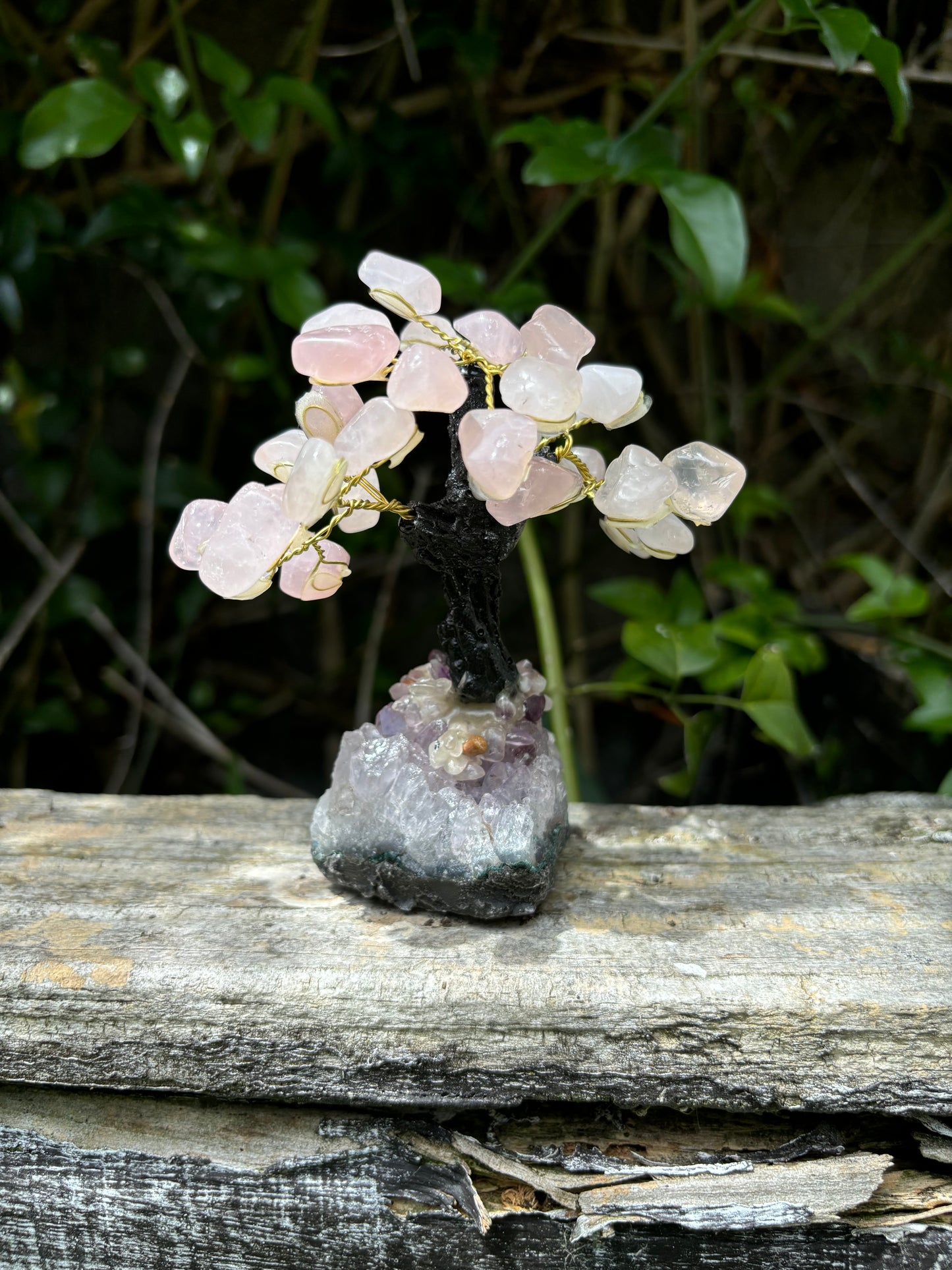 Rose Quartz With Amethyst Druze Base TREE A