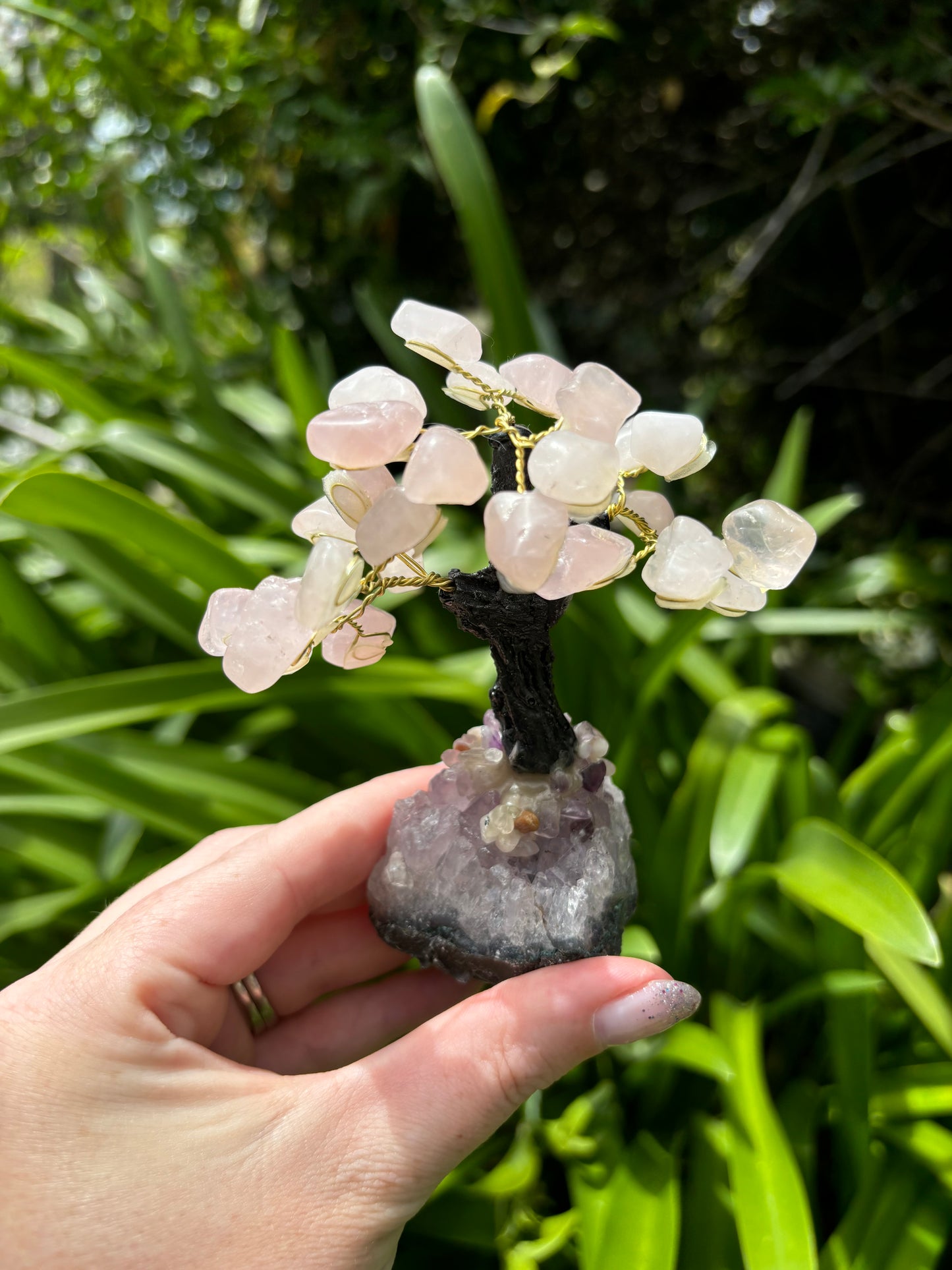 Rose Quartz With Amethyst Druze Base TREE A