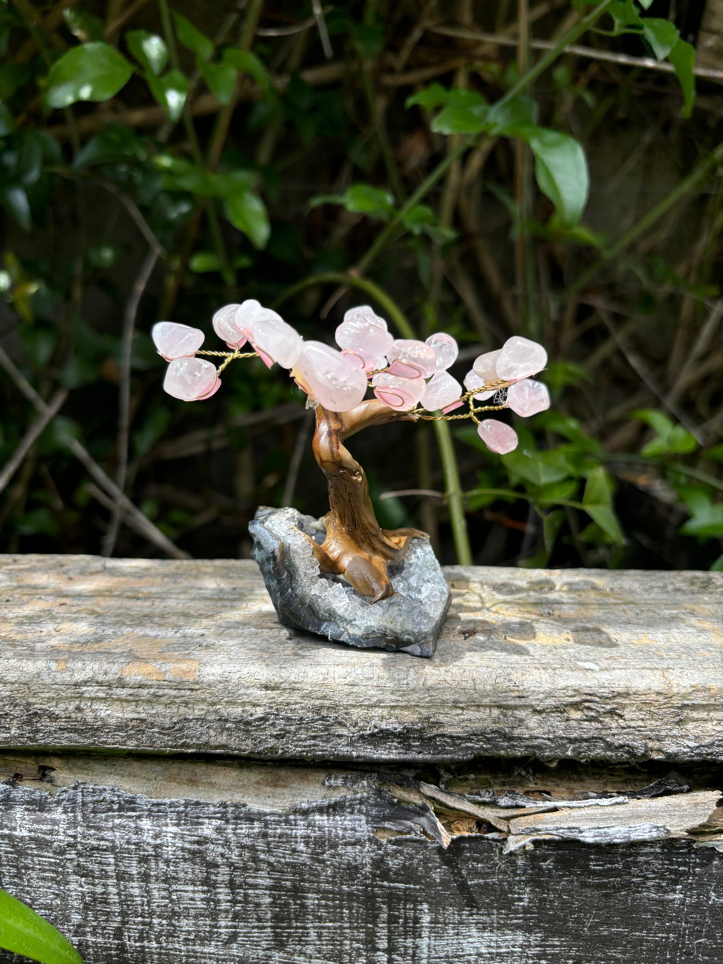 Rose Quartz With Amethyst Druze Base TREE B