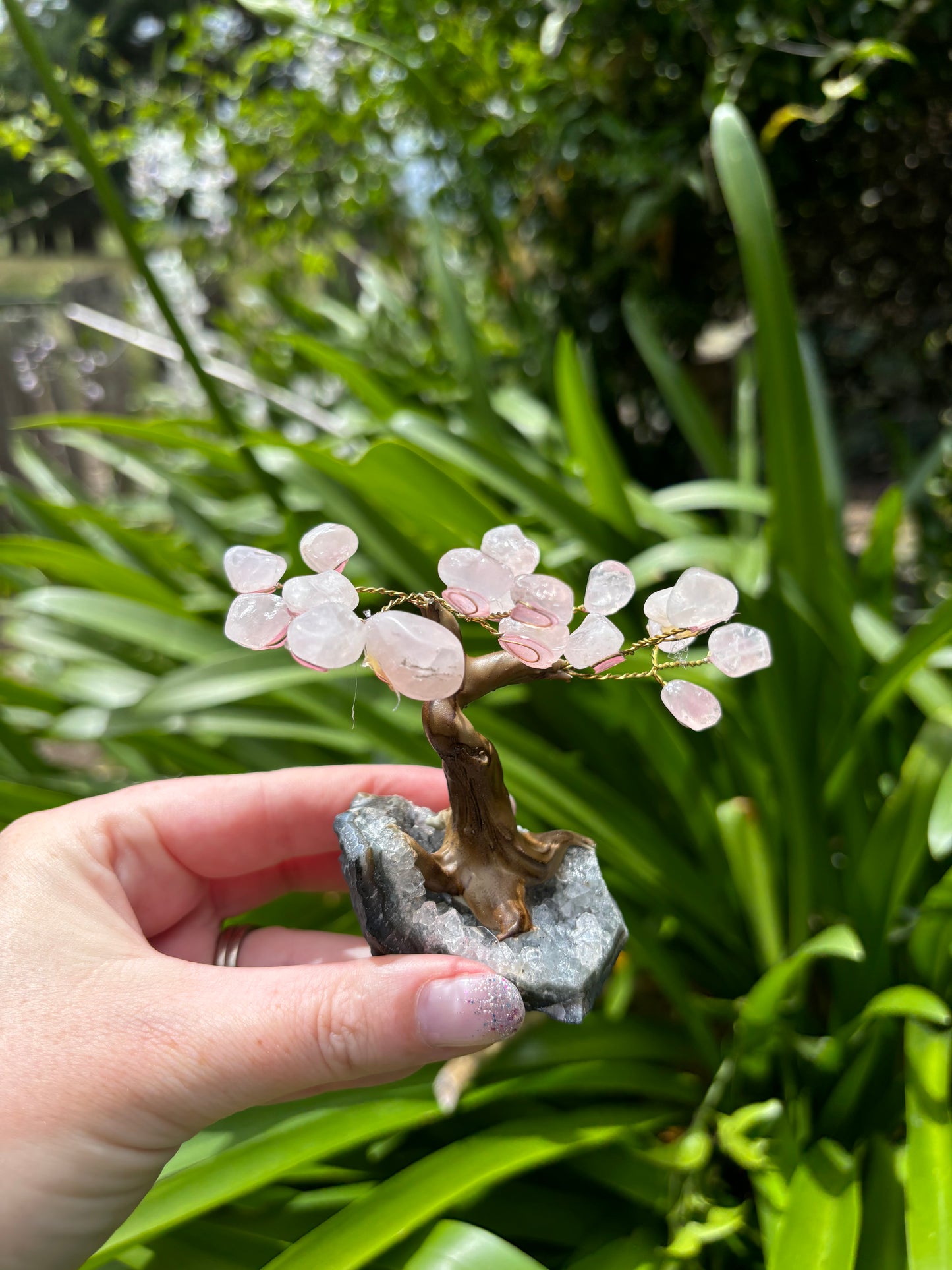 Rose Quartz With Amethyst Druze Base TREE B