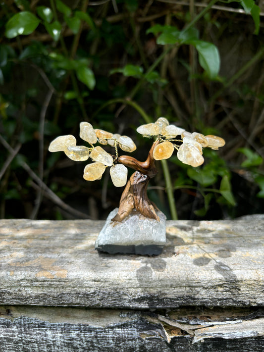 Citrine With Amethyst Druze Base TREE