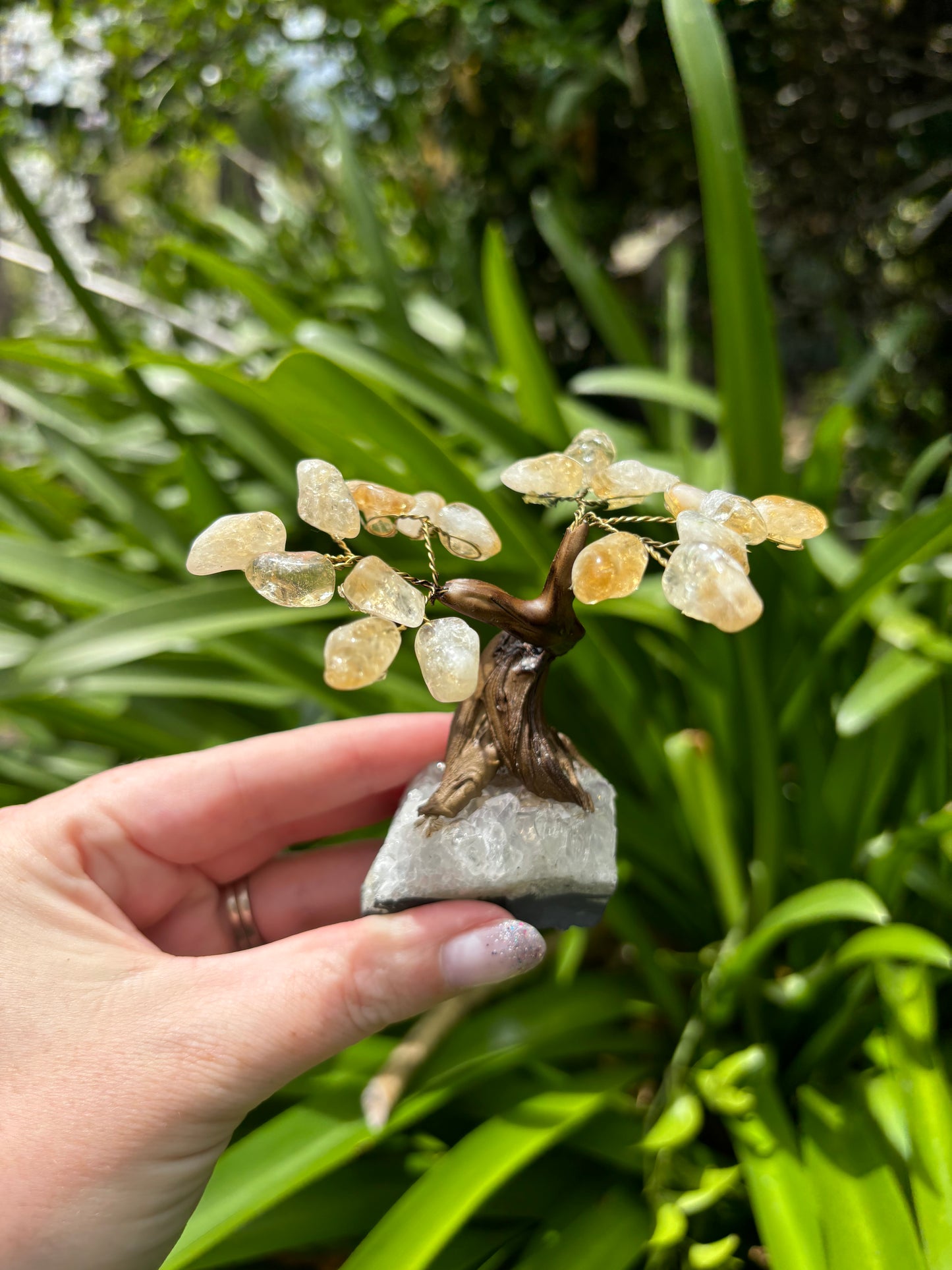 Citrine With Amethyst Druze Base TREE