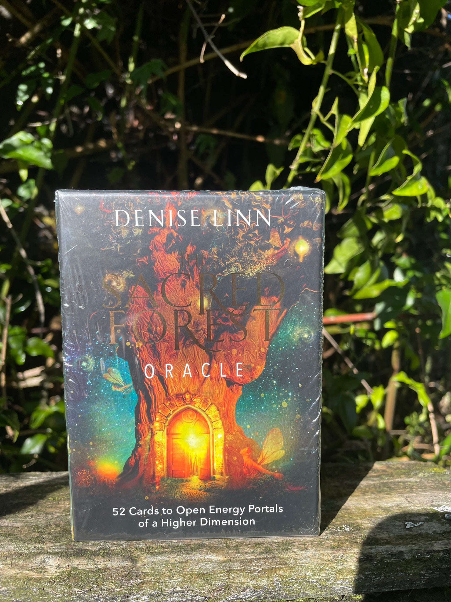 The Sacred Forest Oracle Cards – Daughters And Co Crystals