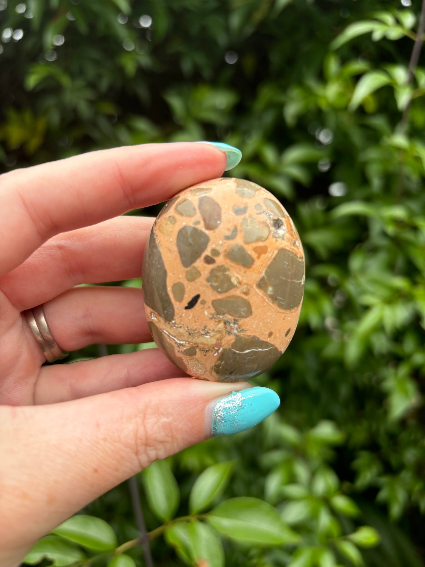 Leopardskin Jasper Palm Stone E