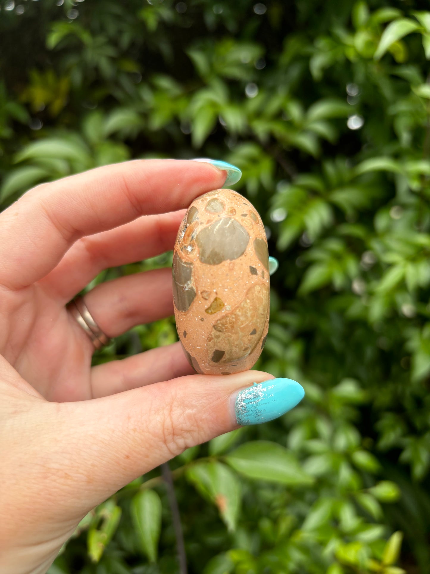 Leopardskin Jasper Palm Stone E