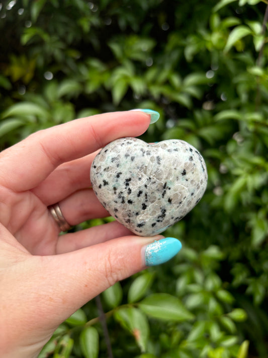 Kiwi Jasper Heart B