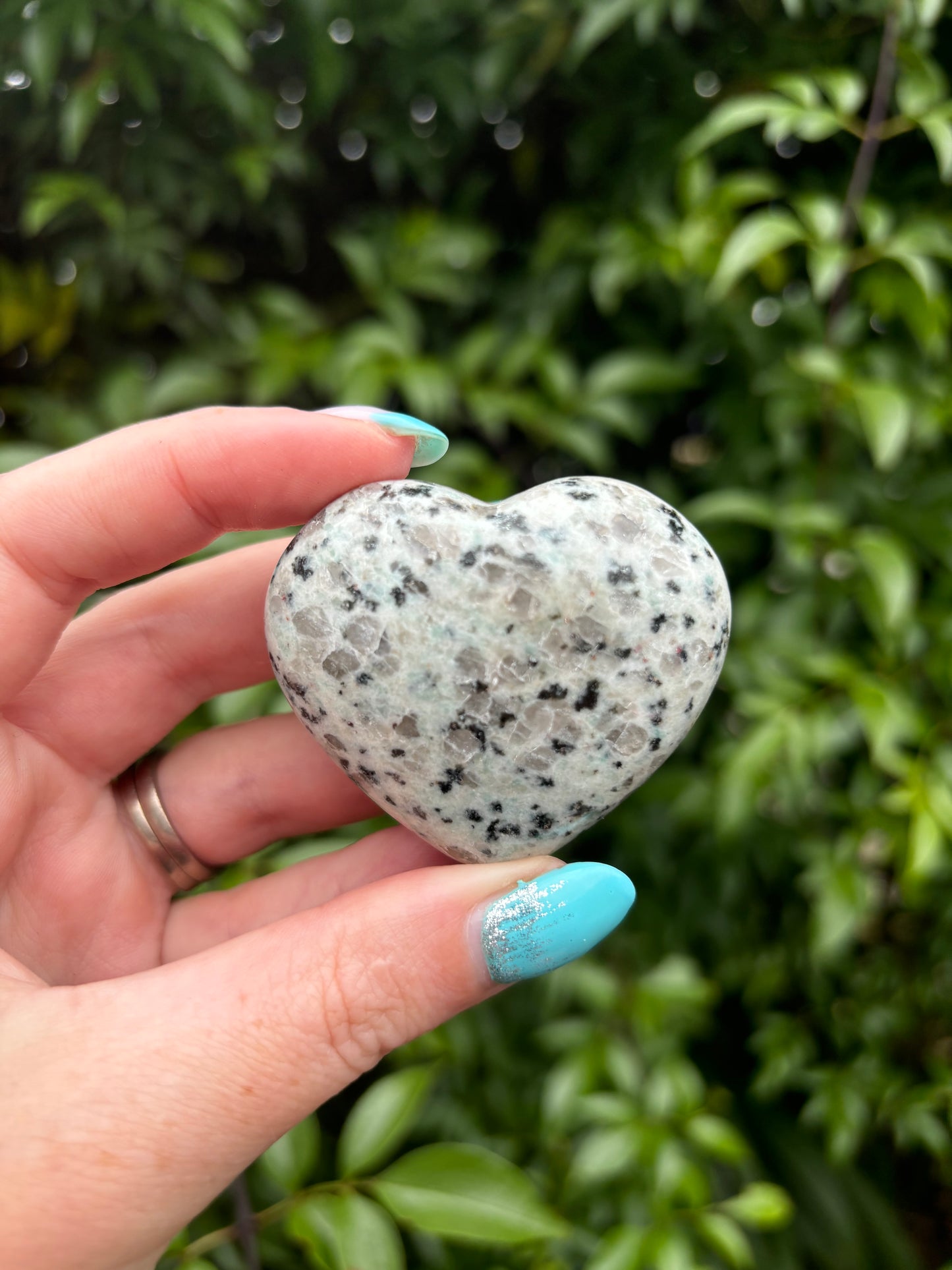 Kiwi Jasper Heart A