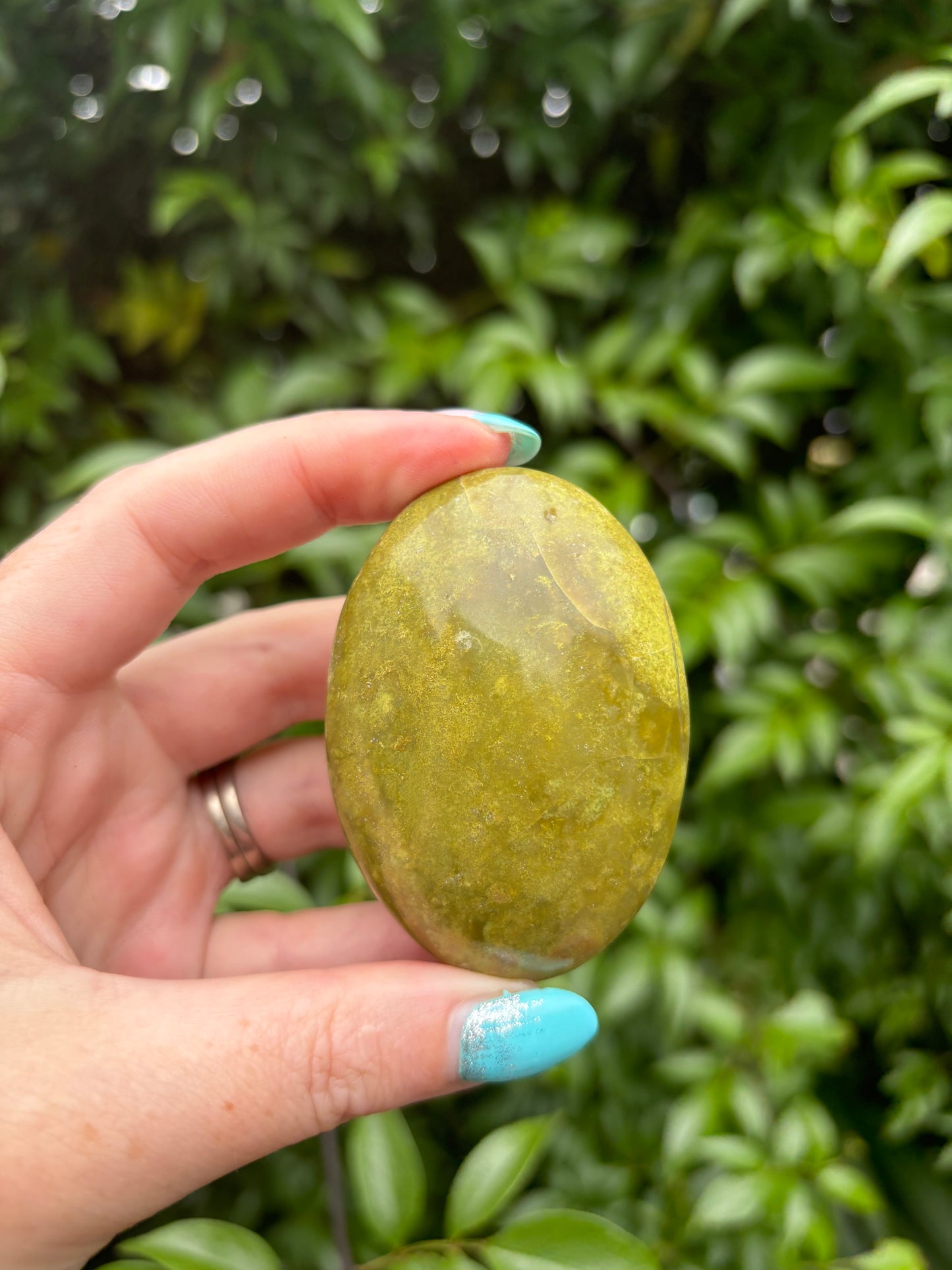 Green Opal Palm Stone A