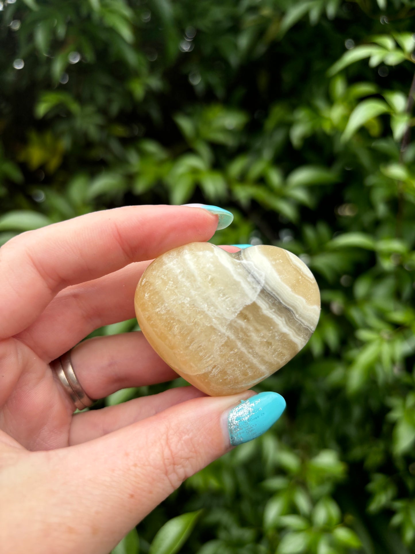 Zebra Calcite Heart C