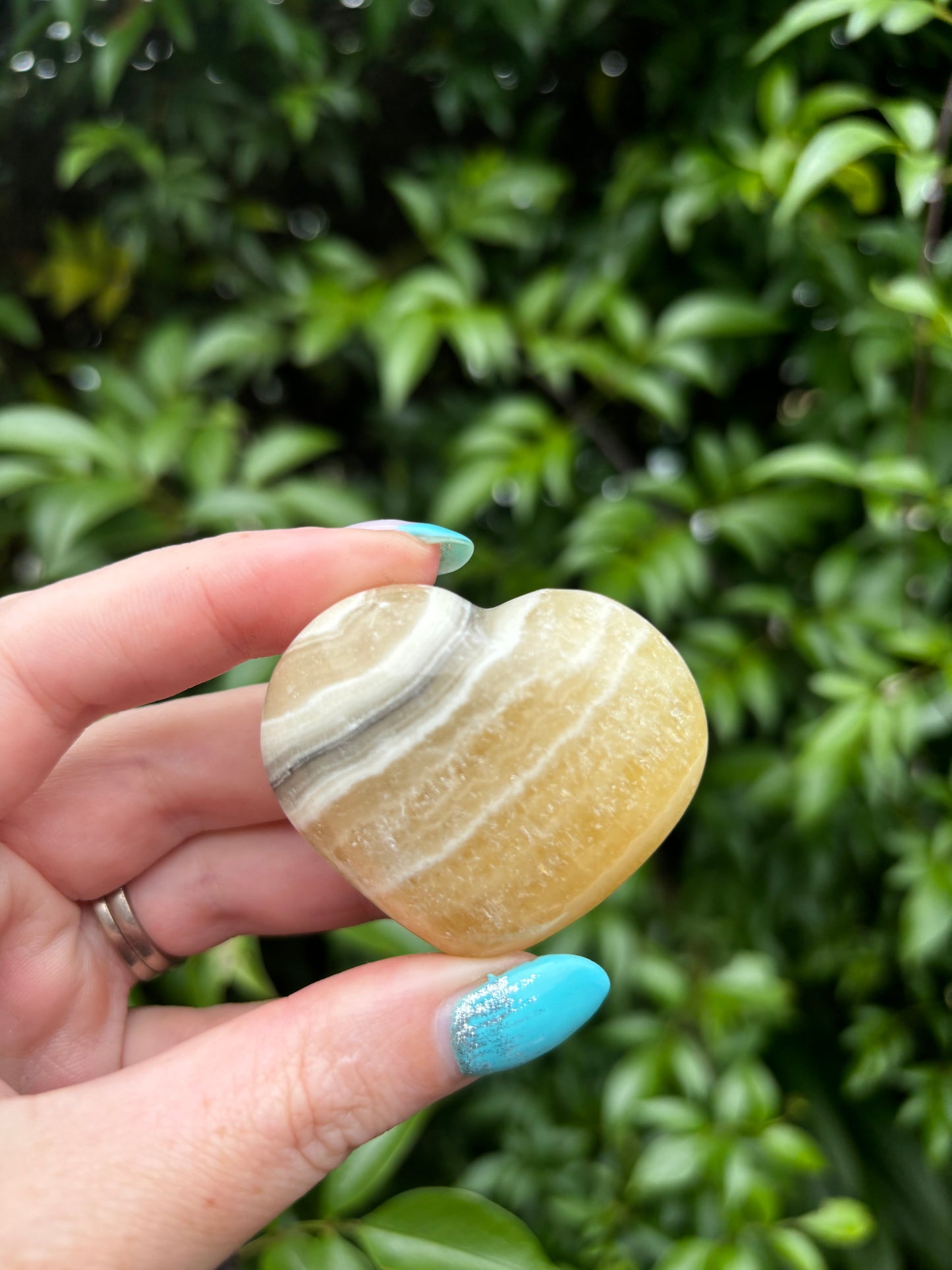 Zebra Calcite Heart C