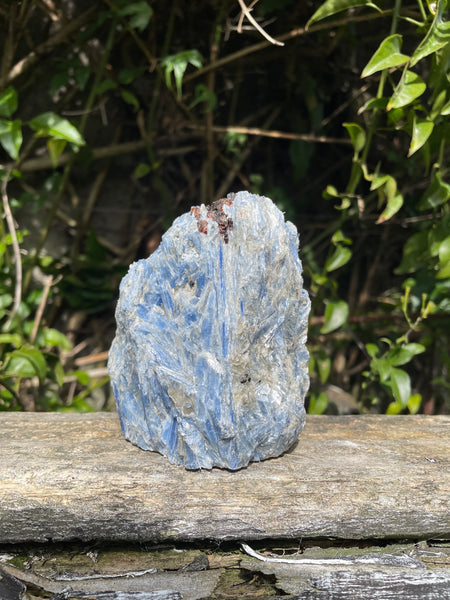 Blue Kyanite Flat Base with Garnet A