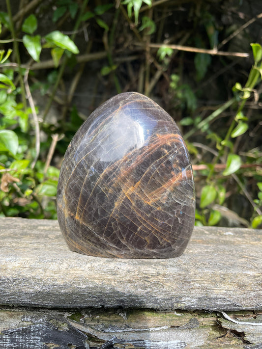 Black Moonstone Free Form Piece B